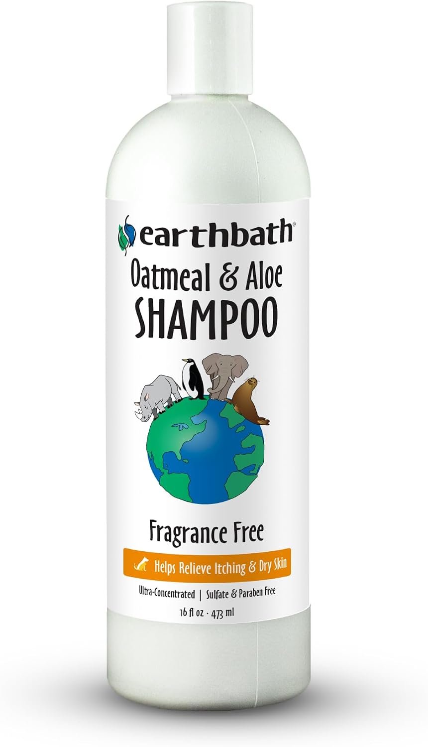 earthbath Oatmeal & Aloe Dog Shampoo, 16 fl oz (1 Pack)