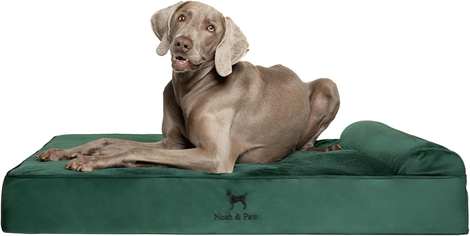 NOAH & PAW XL Dog Bed, 45x35x9.1 Inch, Orthopedic Large Dog Beds, Eggshell Memory Foam Infused with Cooling Gel, Water Resistant, Machine Washable, Includes Inner Cover
