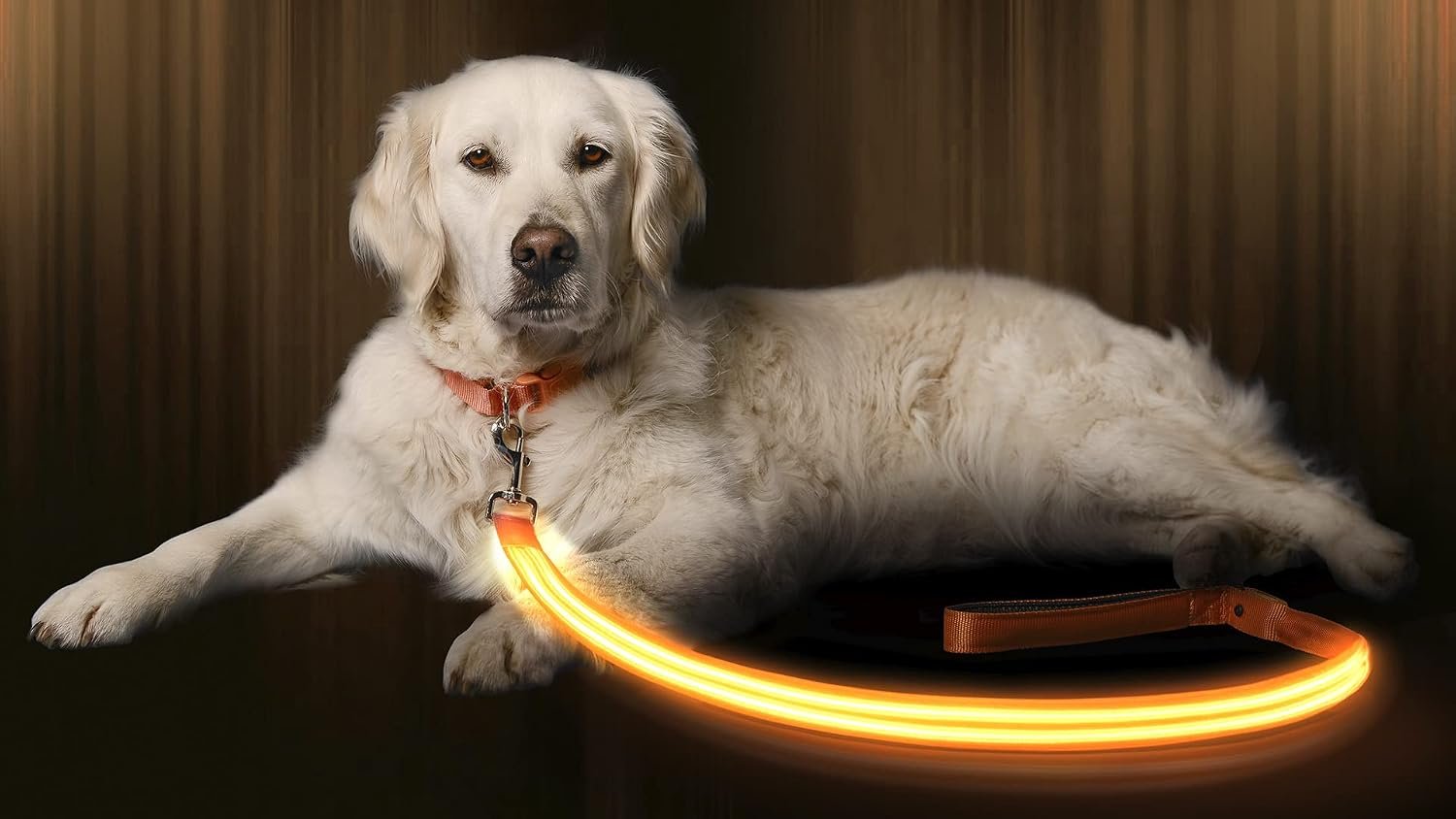 ILLUMISEEN LED Light Up Dog Leash | Ultra High Visibility Up to 350 Yards | 3 Lighting Modes | USB Rechargeable, No Batteries Needed | Padded Handle & Rotating Swivel Clasp to Prevent Leash Tangling