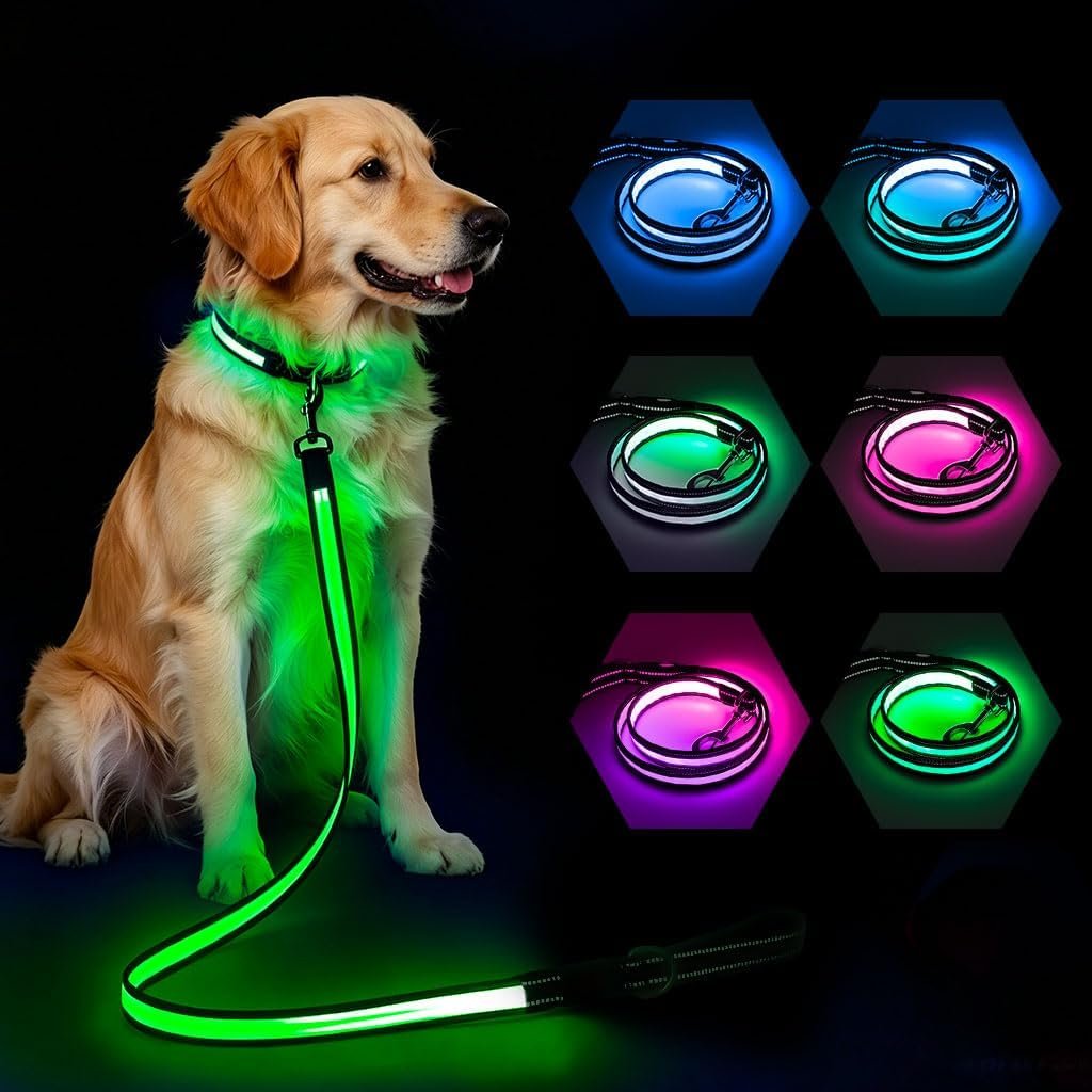 Light Up Dog Leash 5FT Double-Sided LED Dog Leashes 7 Modes & 3 Colors, Rechargeable Glow in Dark Leash for Night Walking Safety, Fits Small Medium Large Dogs Blue/Green/Pink