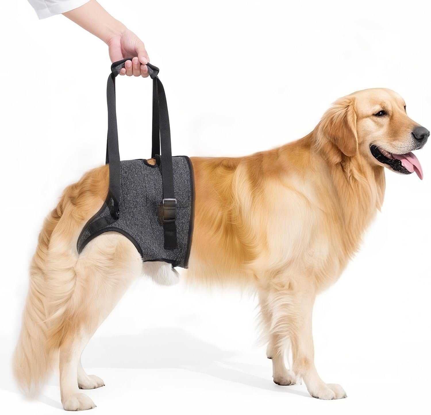 Dog Sling for Large Dogs Hind Leg Support, Adjustable Soft Padded Harness for Weak, Injured, or Disabled Back Legs, Helps Support Senior, Arthritic, and Mobility-Impaired Dogs (X-Large)