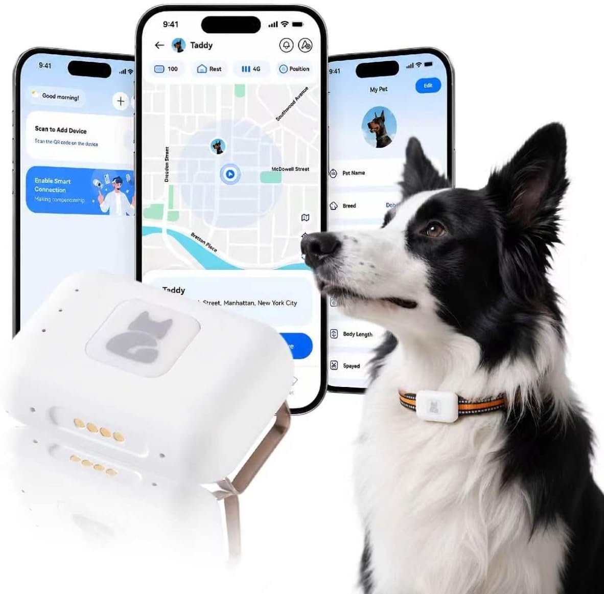 Pet Real Time GPS Tracker, Smart Dog Tracker GPS with 1 Month Subscription