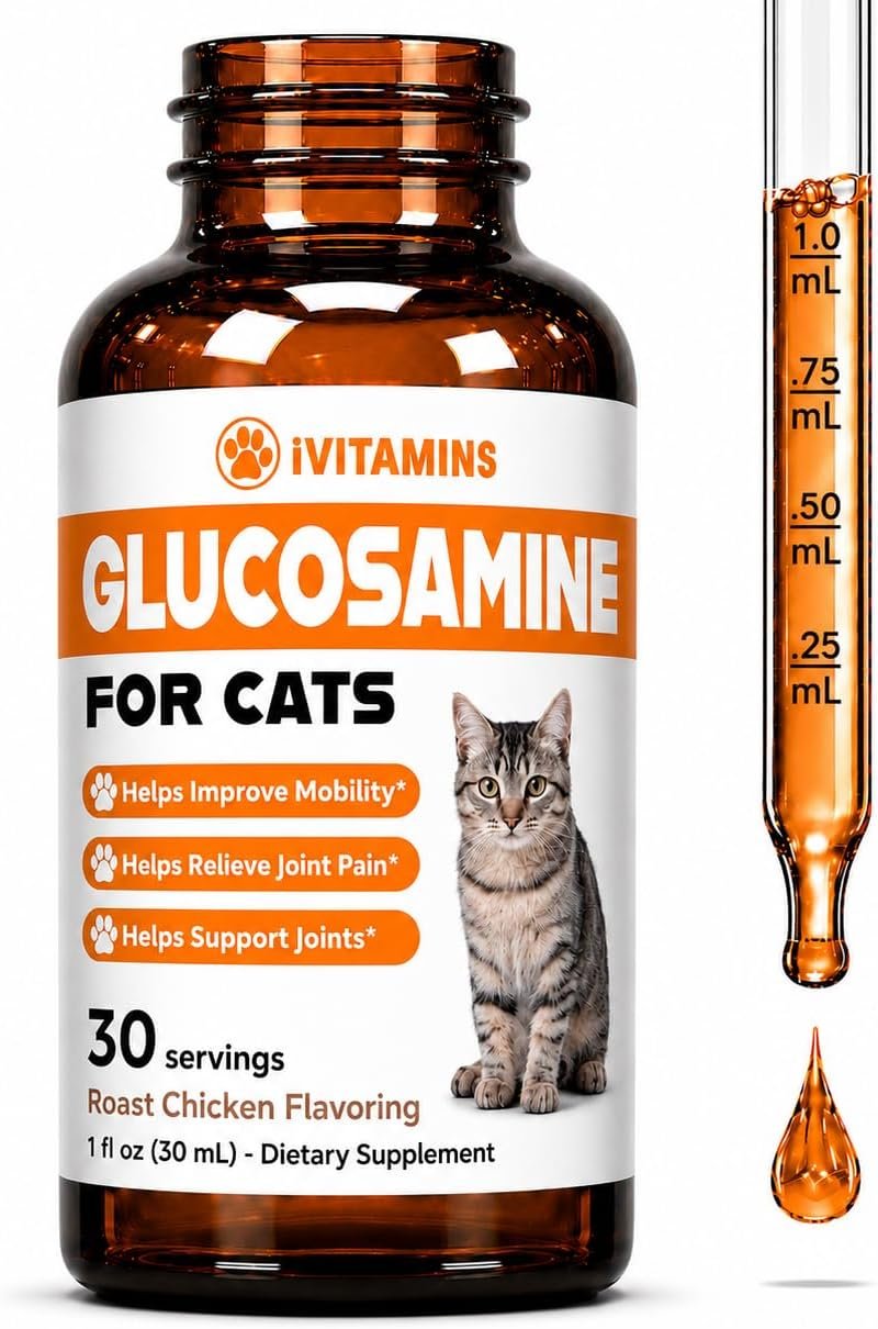 Glucosamine for Cats – Cat Glucosamine – Helps to Support Healthy Joints, Reduce Inflammation, Improve Mobility, & Much More – Cat Joint Supplement – 1 fl oz – Chicken Flavor