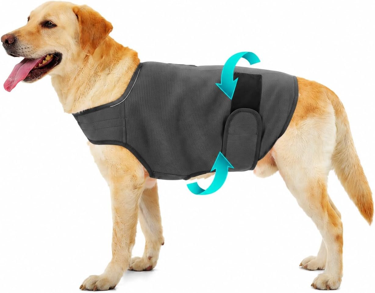 Dog Anxiety Jacket, Calming Jacket – Skin-Friendly Anti-Anxiety Vest for Thunder, Fireworks, Vet Visits and Separation – Helps Keep Dogs Relaxed Without Medicine or Complex Training(Dark Gray,M)