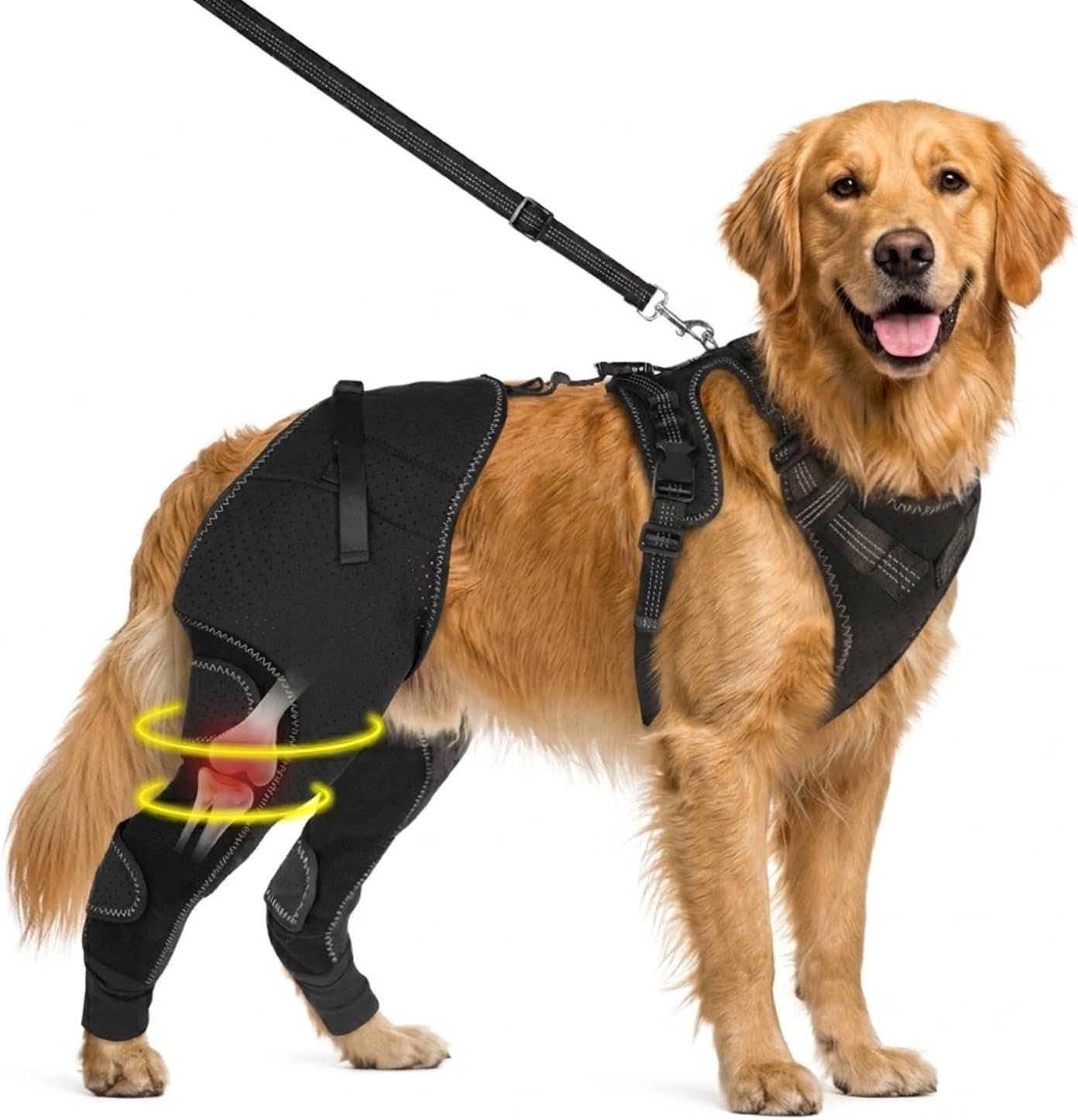 Dog Knee Braces for Back Leg, Dog ACL Brace for Hind Leg, CCL Tear Hinged Support, Luxating Patella Arthritis Pain Relief, Adjustable Harness Wrap Strap (XL)