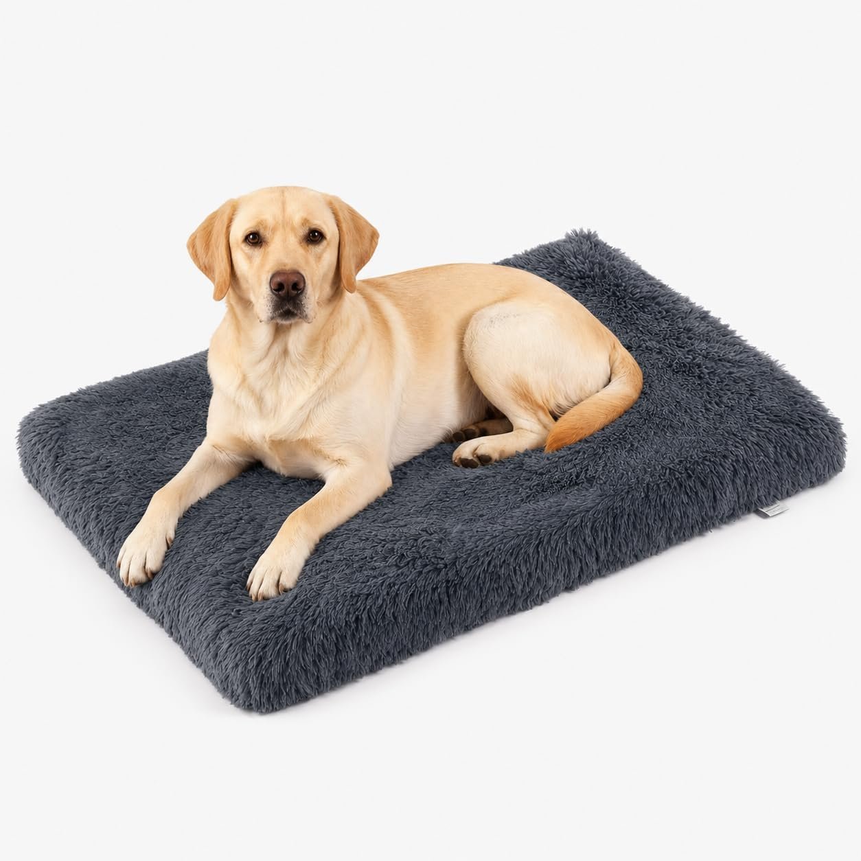 Orthopedic Memory Foam Dog Bed Medium Size Crate Pad 35 x 22 Inch Dark Gray