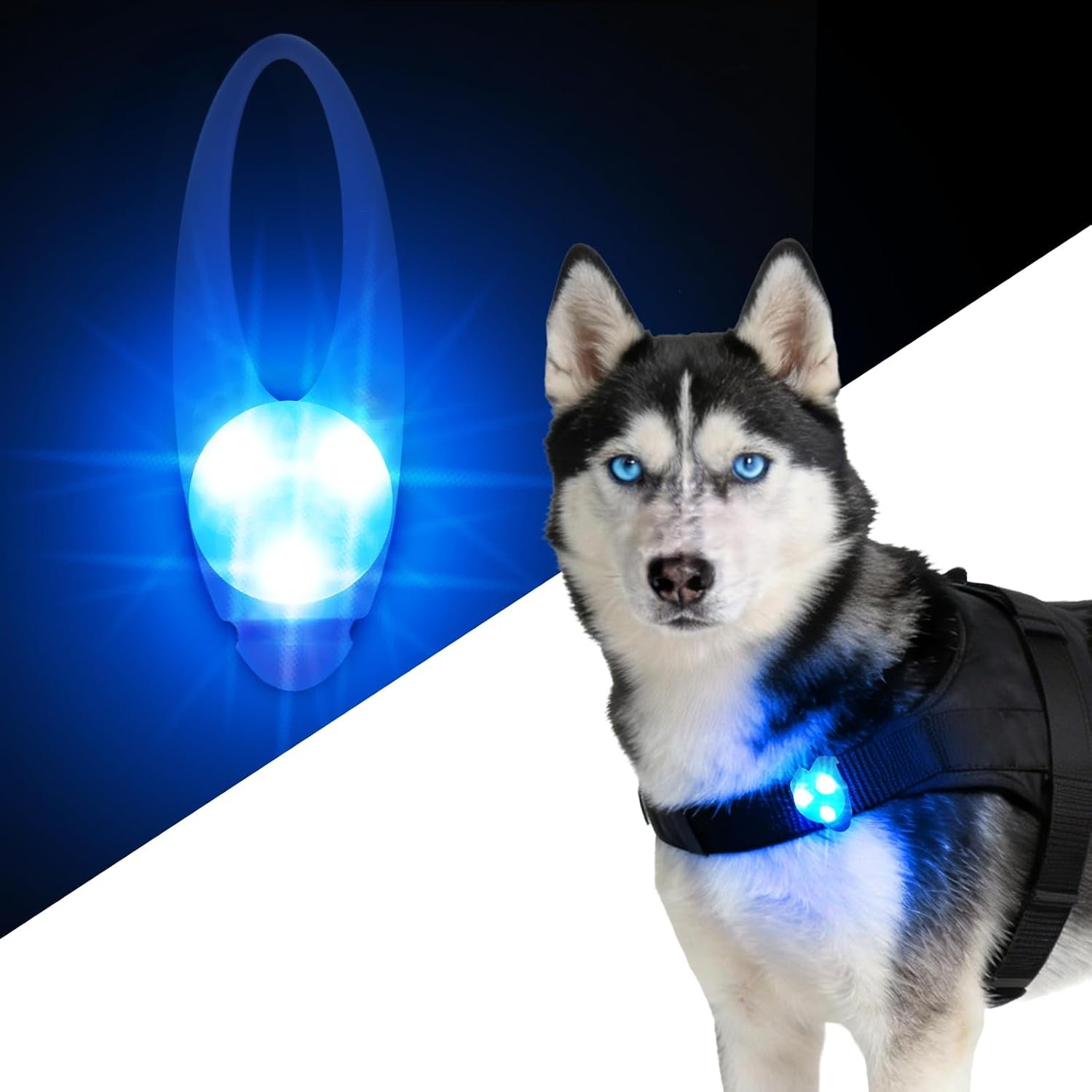 LaRoo LED Dog Collar Light – Waterproof Clip-On 3 Modes, High Visibility for Night Walking/Camping, Pet Safety Light for Small/Medium/Large Dogs (Blue)