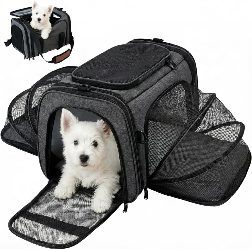 Soft Sided Pet Carrier for Small Dogs & Cats (Up to 9 lbs) – Airline Approved Underseat Travel Bag with Breathable Mesh, Luggage Strap & Washable Mat – Compact & Lightweight, Grey