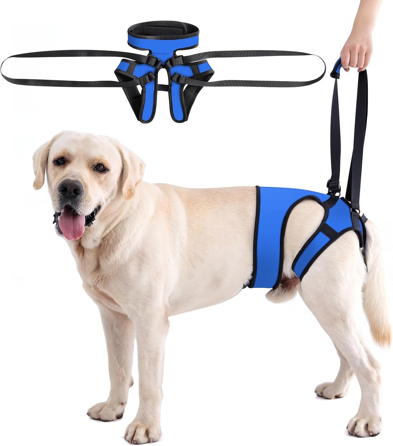LIANZIMAU Dog Sling for Large Dogs Adjustable Hind Leg Support Lift Harness Senior Canine Mobility Aid Carrier for Back Legs Walking Rehabilitation