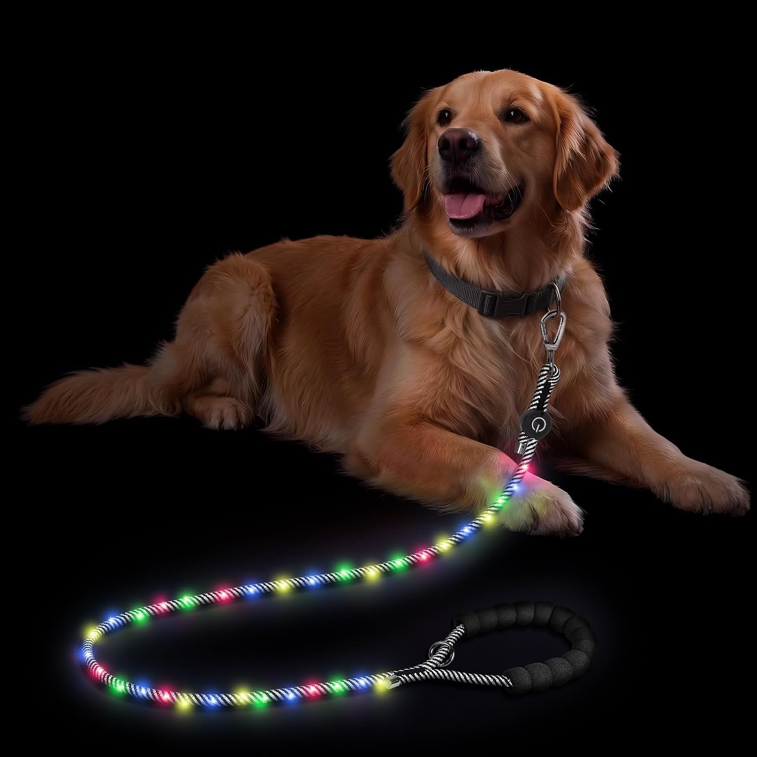 PetBonus 5FT Light up Dog Leash, Rechargeable LED Rope Dog Leash