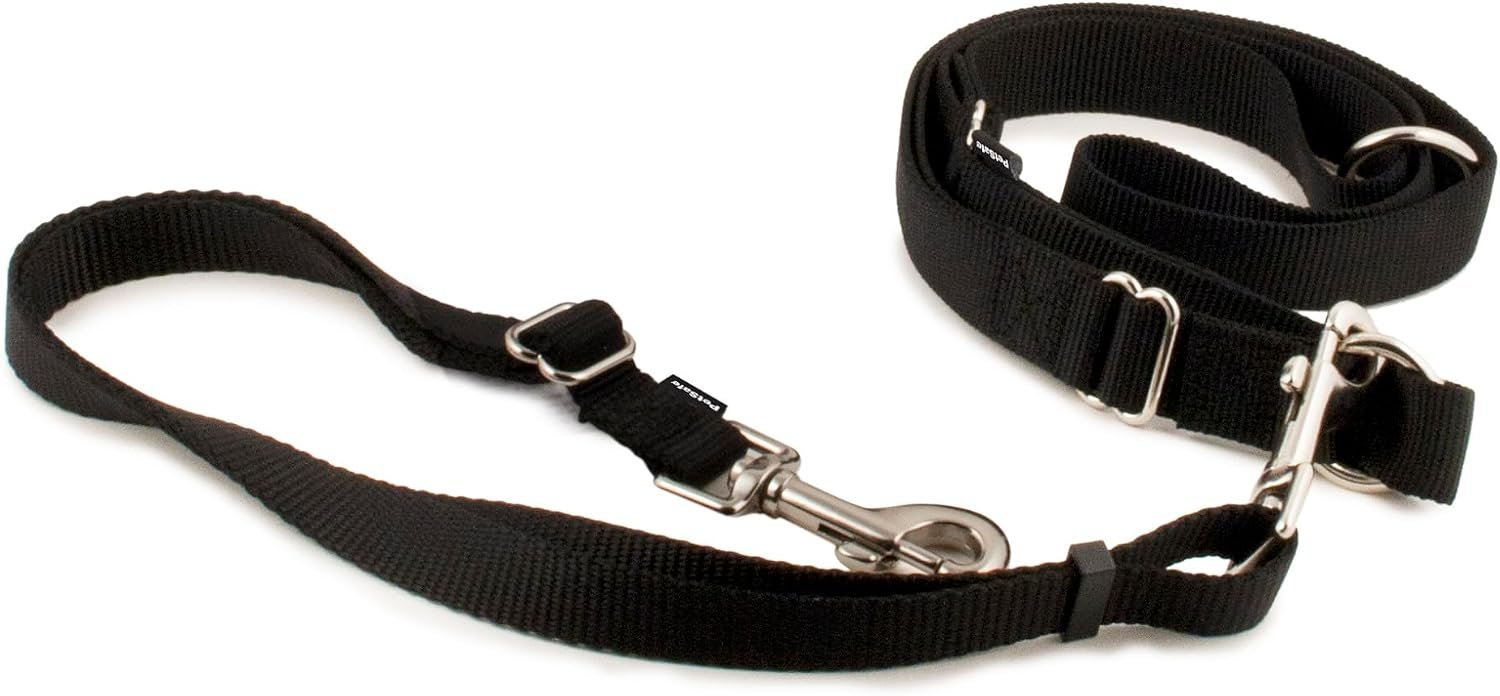 PetSafe Hands Free Dog Leash, Black