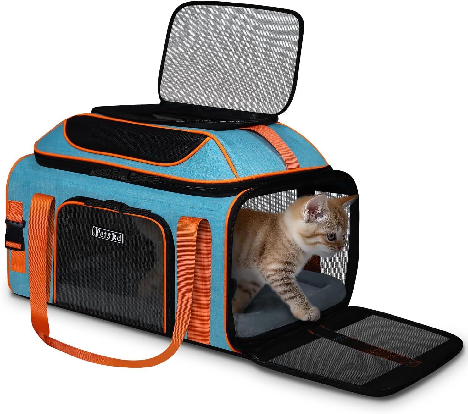 Petskd Top-Expandable Pet Carrier 19″x13″x9″ Airline Approved, Blue