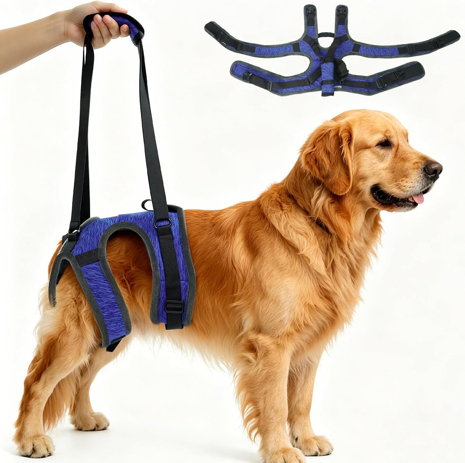 Snugrance Dog Sling for Large Dogs, Hind Leg Support Hip Lift Harness, XL