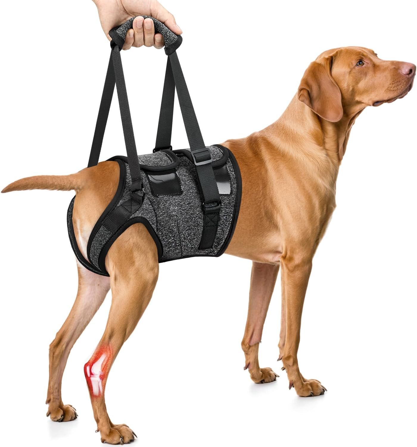 SlowTon Dog Lift Harness, Adjustable Dog Sling for Medium Large Dogs