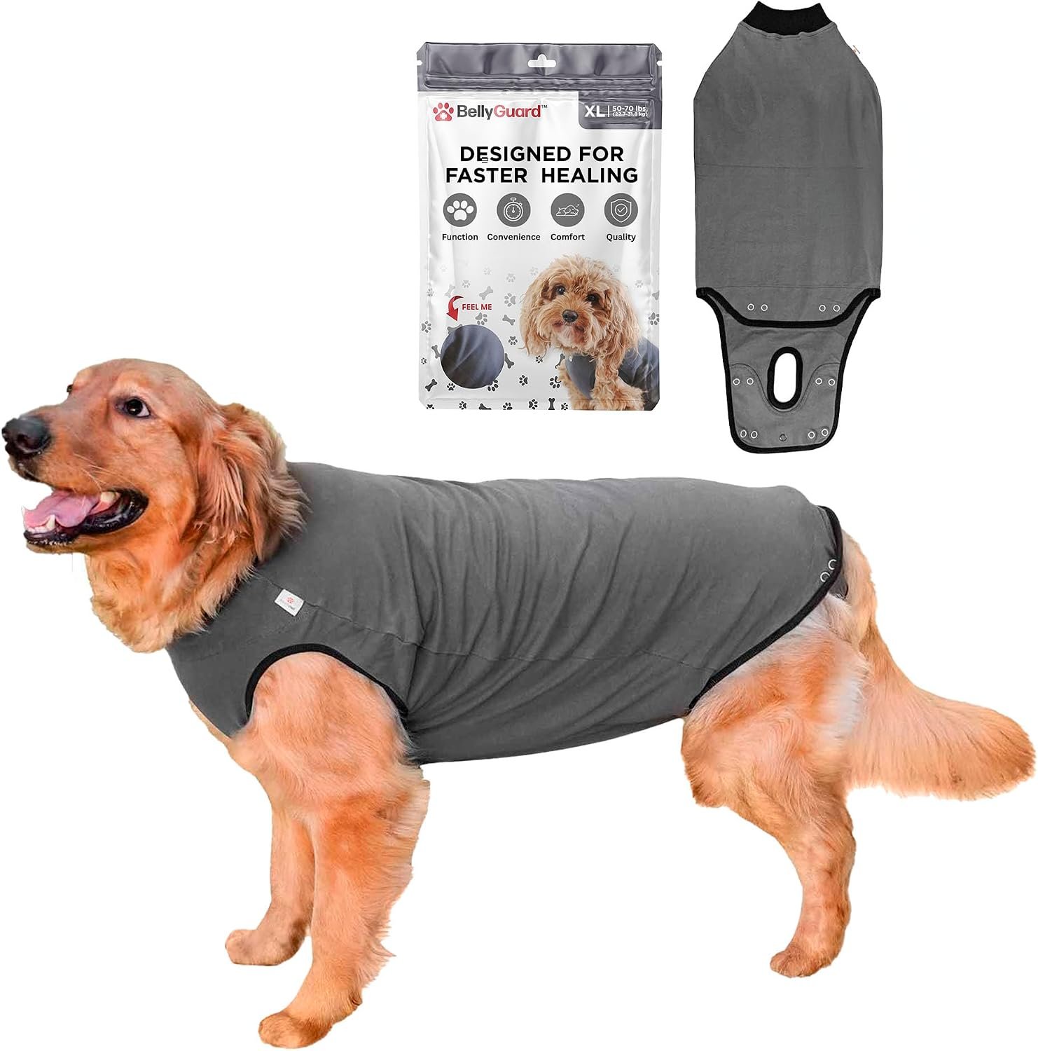 BellyGuard Dog Surgery Recovery Suit, Male Female After Spay Neuter Onesie