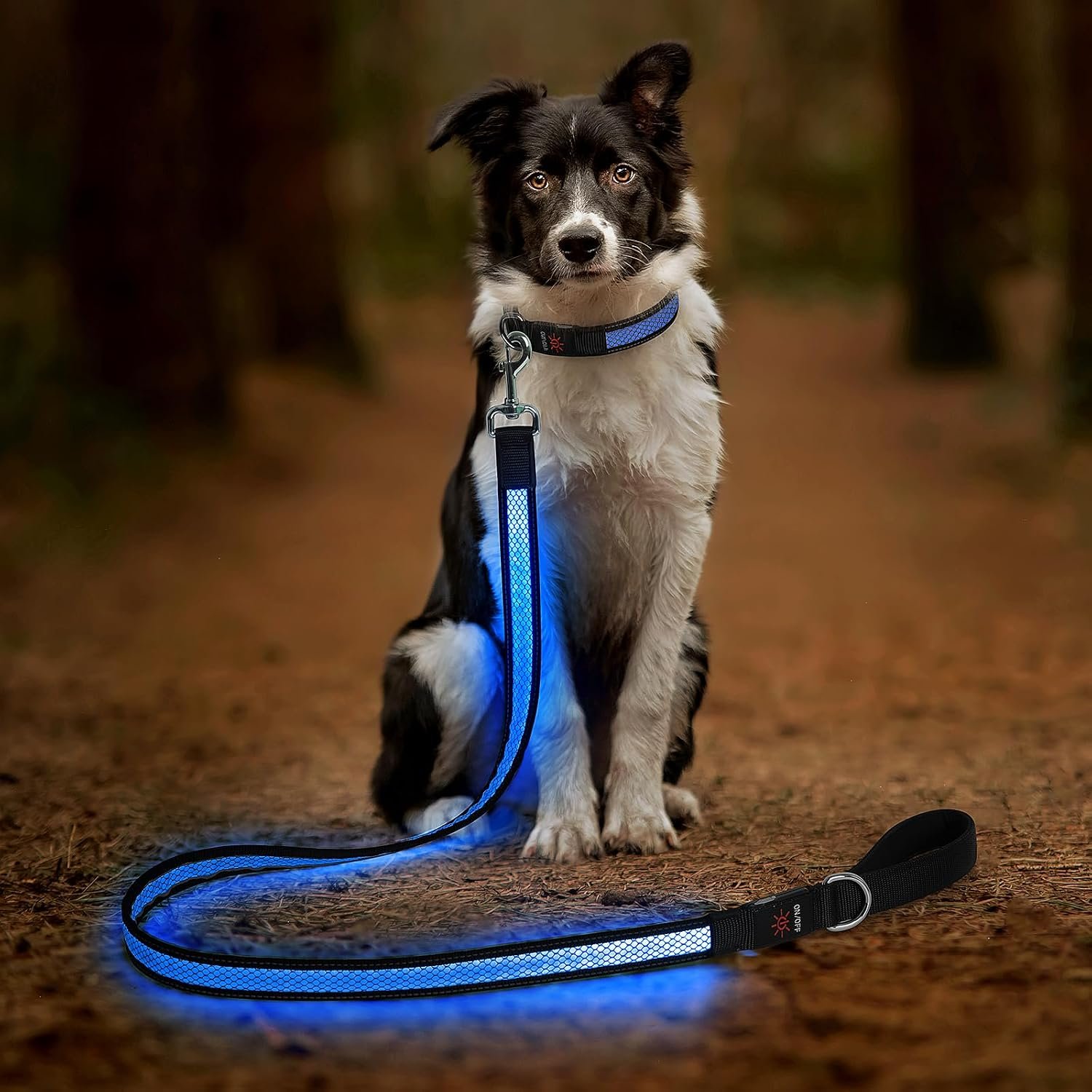 Candofly 4 Ft LED Dog Leash, USB Rechargeable Light Up Dog Leash, 3 Lighting Modes, Glow in The Dark, Nylon Reflective Pet Leashes with Lights for Night Walking (Blue)
