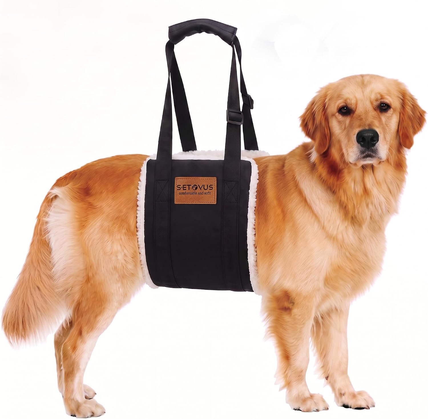 Adjustable Dog Lifting Harness, Large Dog Hind Leg Support Sling