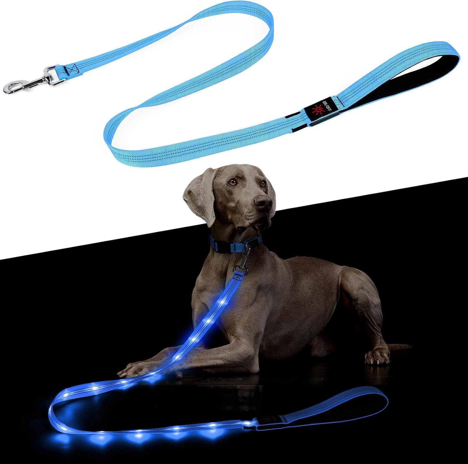 Light Up Dog Leash – 5 Ft LED Pet Leash Rechargeable Glow in The Dark Dog Rope Safety Dog Lights for Night Walking (Blue)