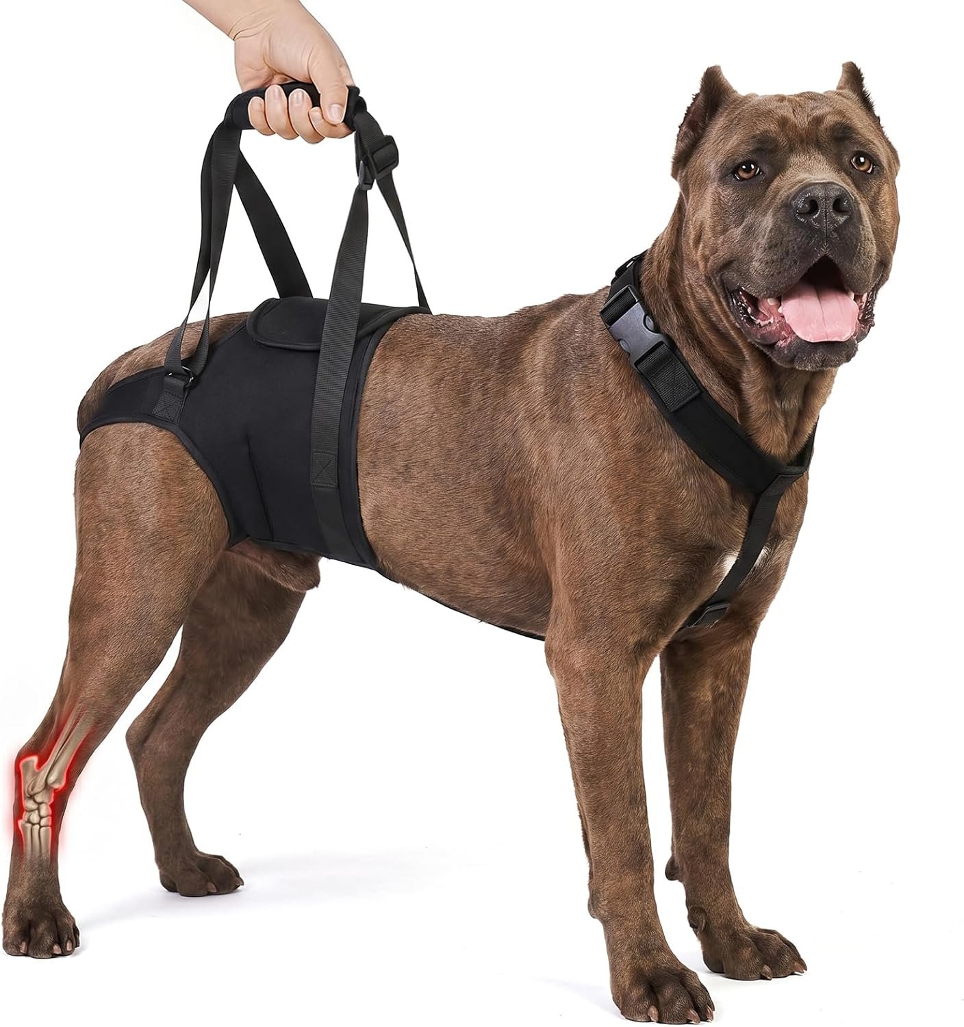 Supet Dog Sling for Large Dogs Hind Leg Support, Dog Back Leg Lift Harness
