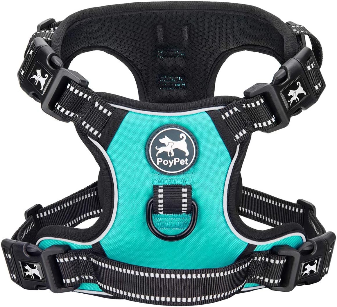 PoyPet No Pull Dog Harness with 4 Snap Buckles, Reflective with Front & Back 2 Leash Hooks and an Easy Control Handle [NO Need Go Over Dog’s Head](Mint Blue,L)