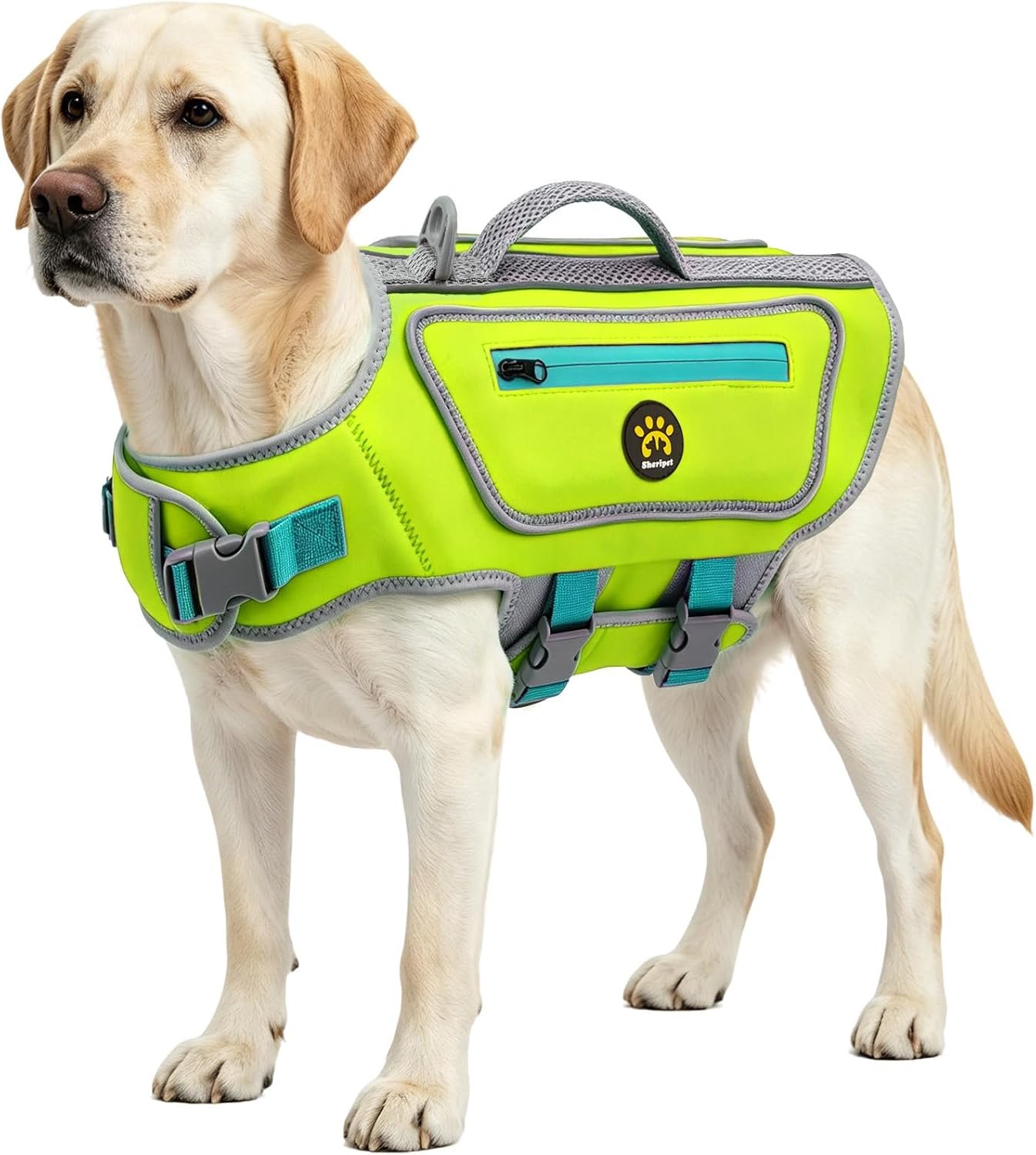 Life Jacket for Dogs, High Flotation Pet Swim Vest for Boating S