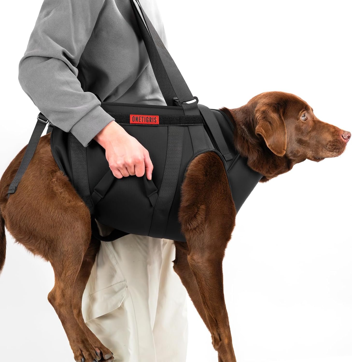 OneTigris Full Body Dog Carry Sling for Large Dogs, Dog Lift Harness Backpack Carrier with Handles, for Senior Dogs, Joint Injuries, Up and Down Stairs (Black, XL)