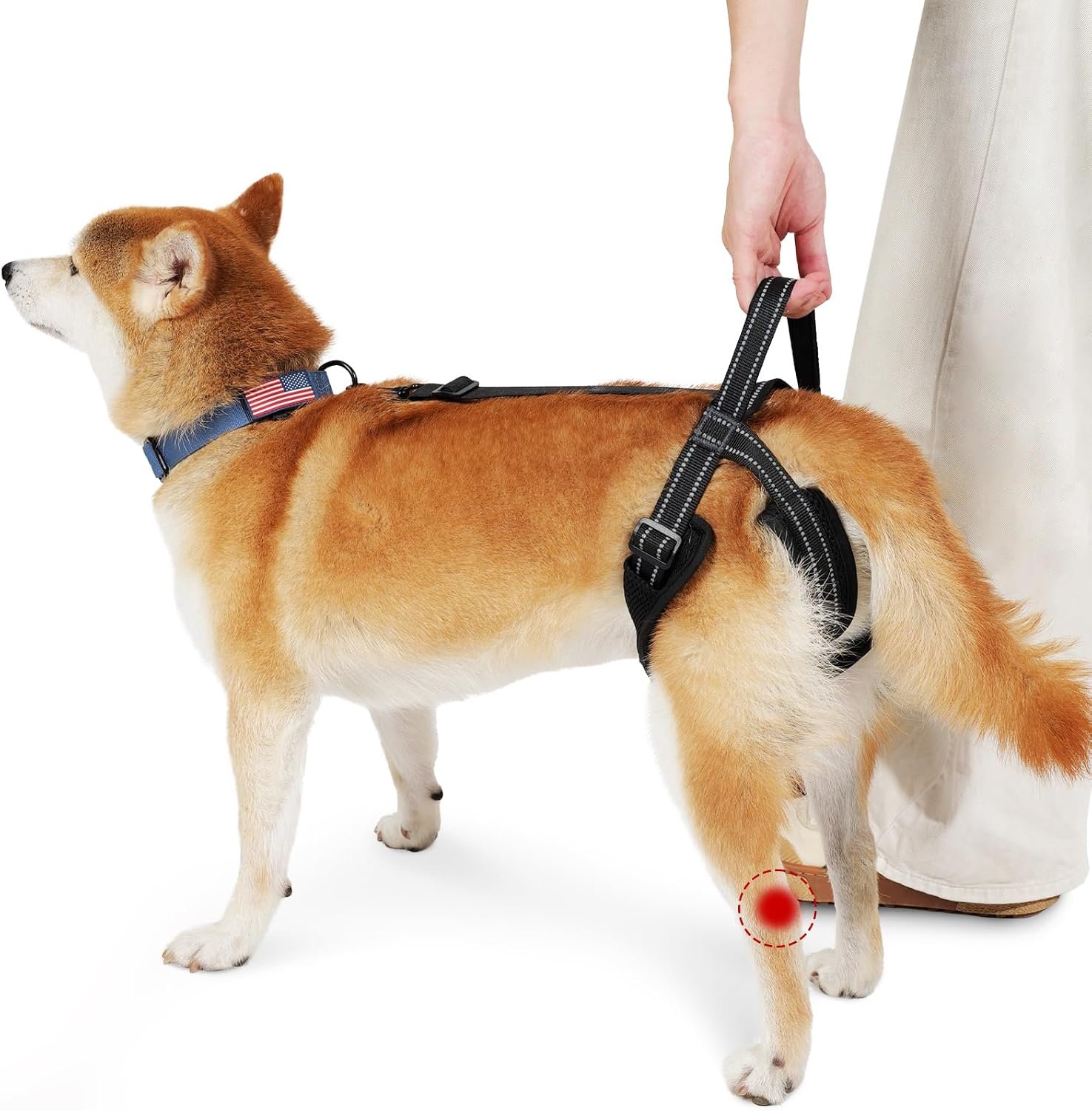 Help Em Up Harness for Dogs’ Rear Legs Disabled Injured Post-op L