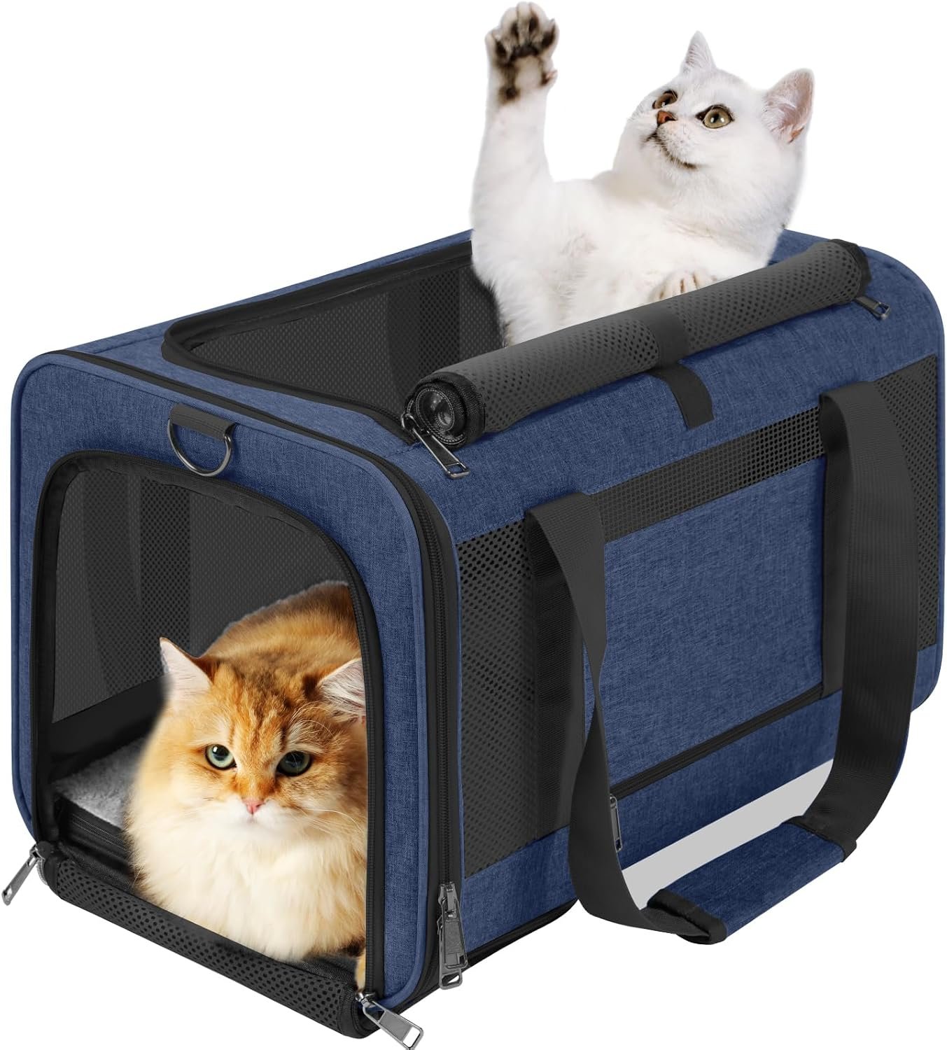 GAPZER Large Cat Carrier Soft, Collapsible Travel Pet Carry Bag, Small Dogs