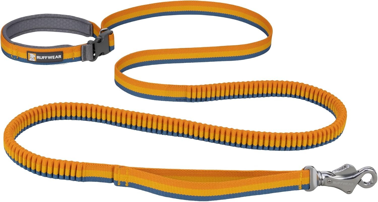 Ruffwear, Roamer Bungee Dog Leash, Yellow Snow, 7.3′-11′