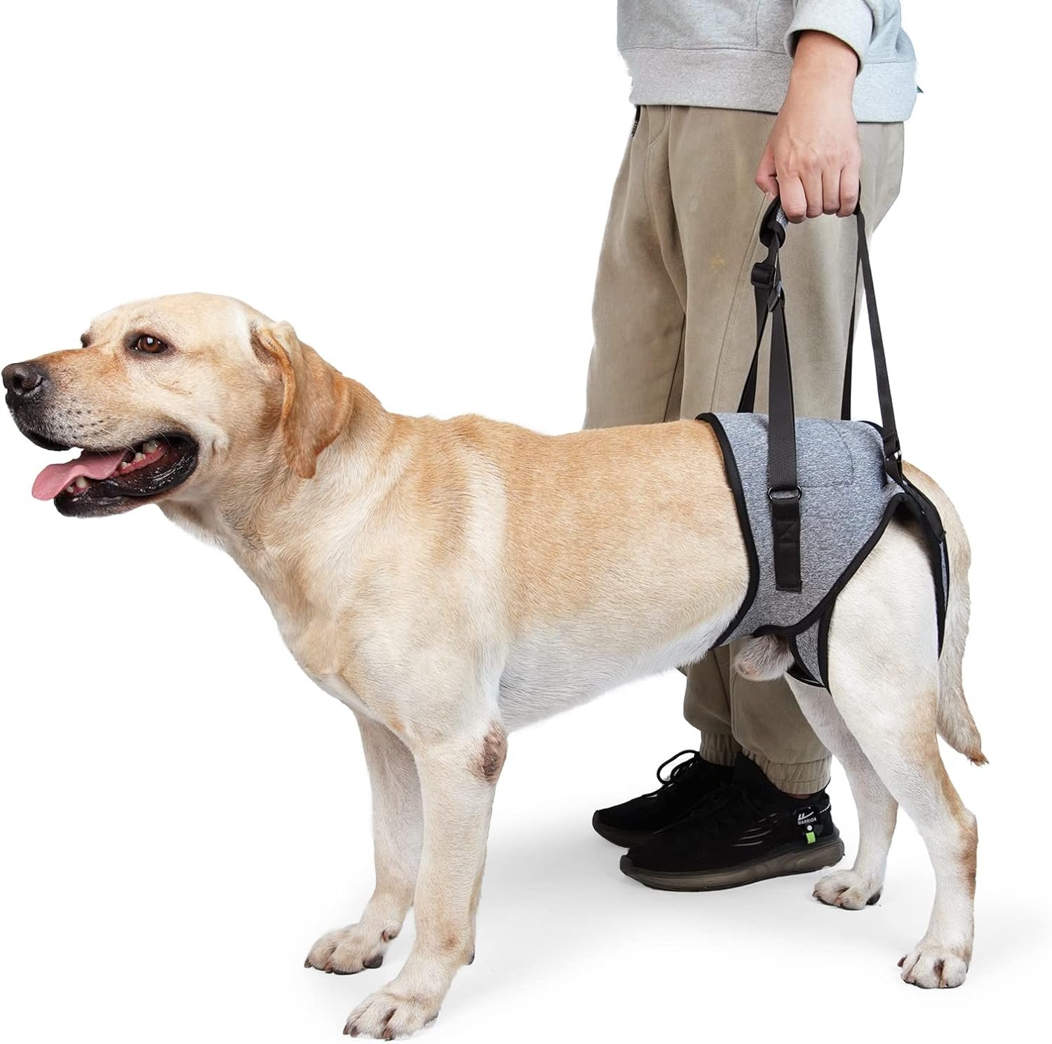 Dotoner Dog Sling for Large Dogs Hind Leg Support to Help Rehabilitate the Hind Limbs of Elderly Dogs with Weak Hind Legs Disabilities and Injuries Dog Harness Helps Arthritis ACL Recovery (L, Grey)
