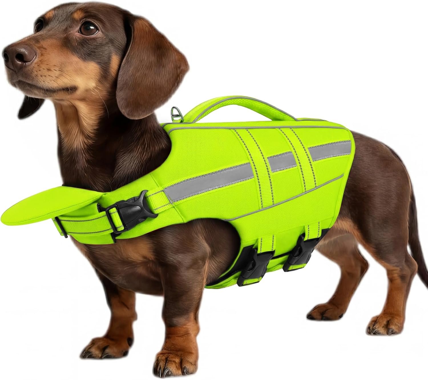 ASENKU Dog Life Jacket, High-Buoyancy Life Vest with Removable Front Float, Rescue Handle and Reflective Strips, Adjustable Swim Vest for Boating, Swimming, Beach(Green M)