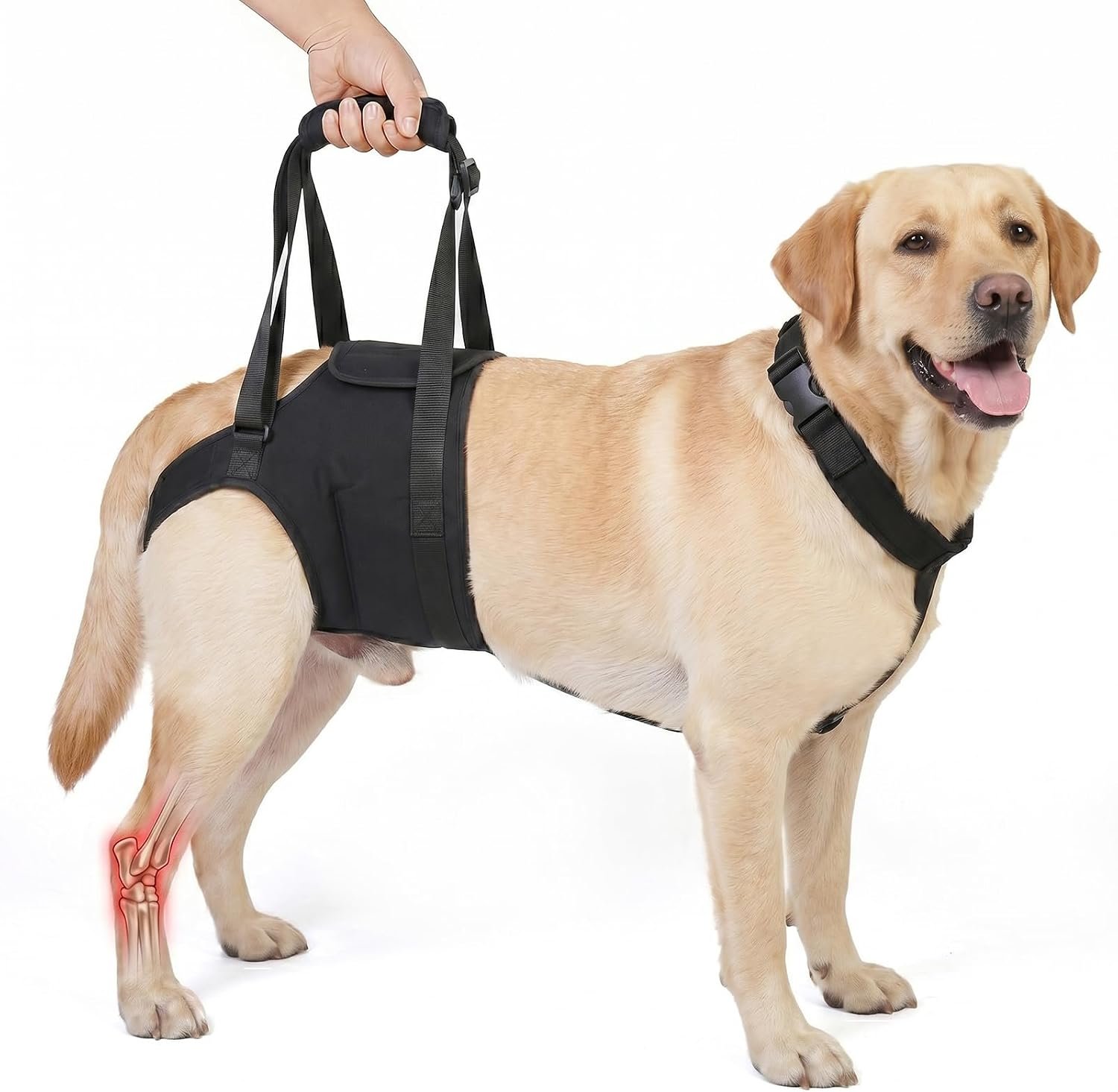 Supet Dog Sling for Large Dogs Hind Leg Support, Dog Back Leg Lift Harness
