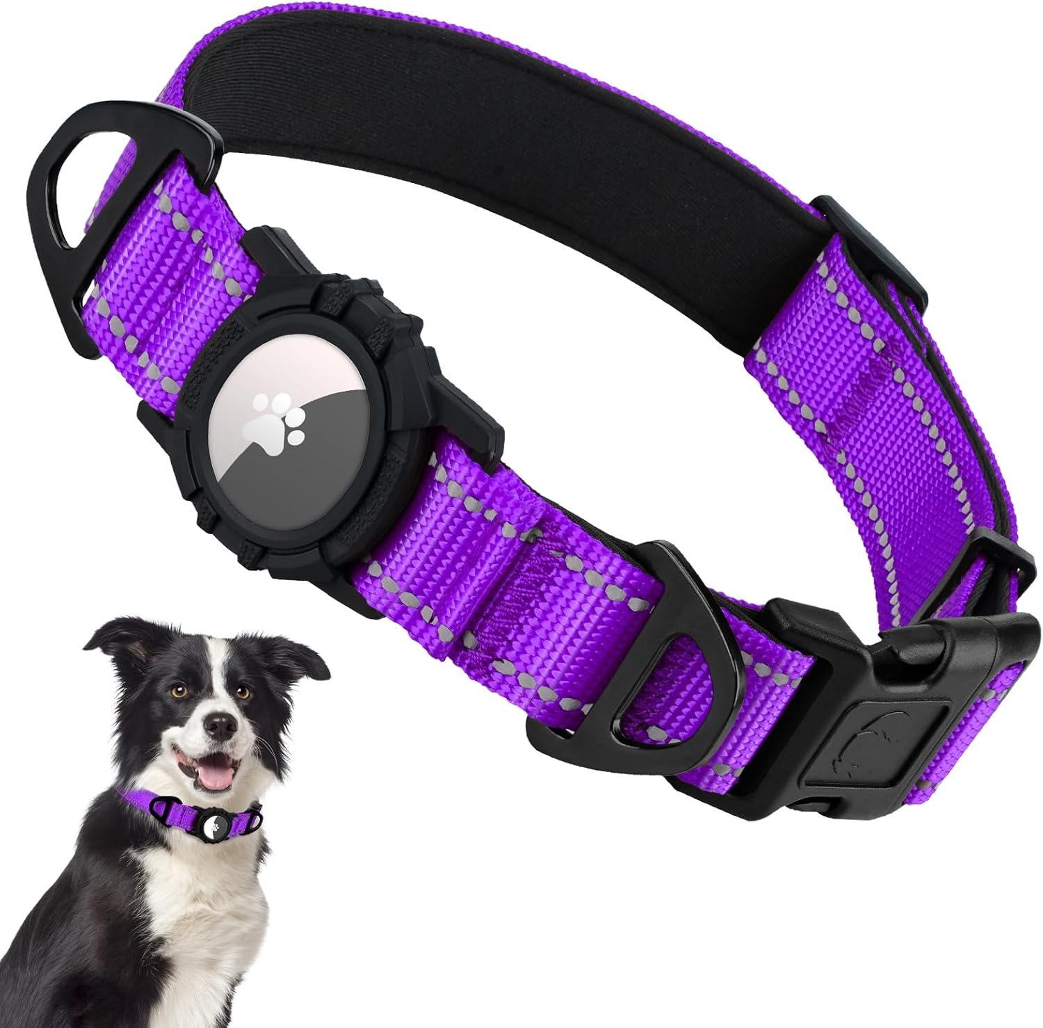 Taglory AirTag Dog Collar with Waterproof Holder for Medium Dogs, Purple, M