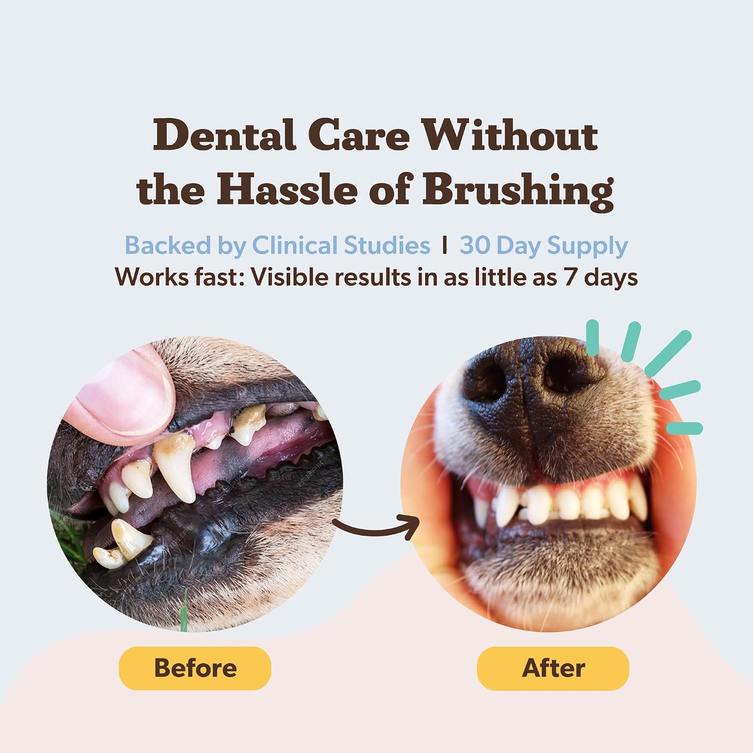 Natural Dog Company Dental Powder for Dogs – 30-Day Supply