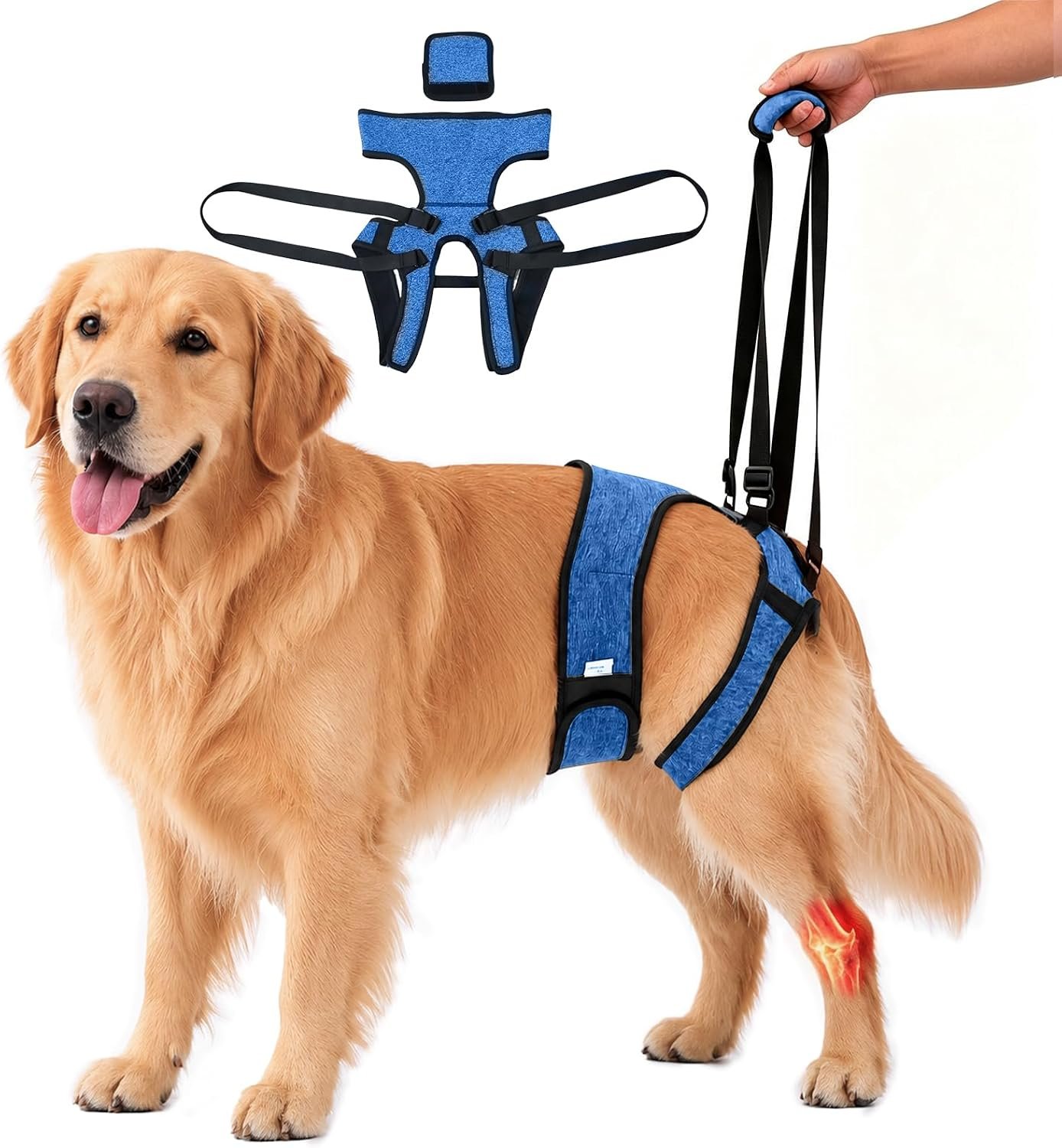 Dog Lift Harness, Dog Sling for Large Dogs, Adjustable Hind Leg Support for Senior Dogs with Weak Back Legs, Canine Mobility Aid for Walking Rehab, Elderly Arthritic Dogs (Blue, L)