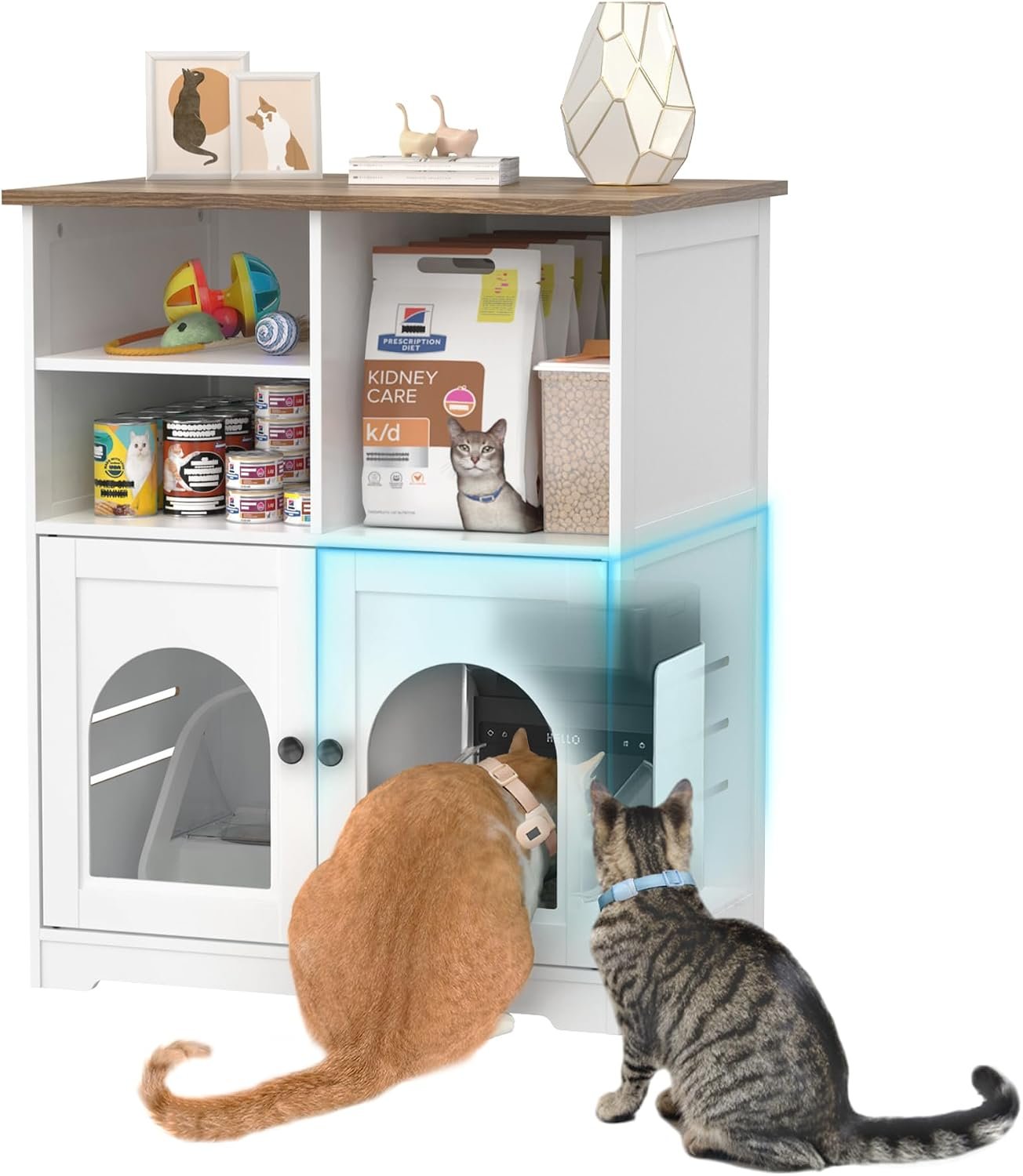 GDLF Cat Feeding Station for Microchip Feeder with Dog-Proof Design