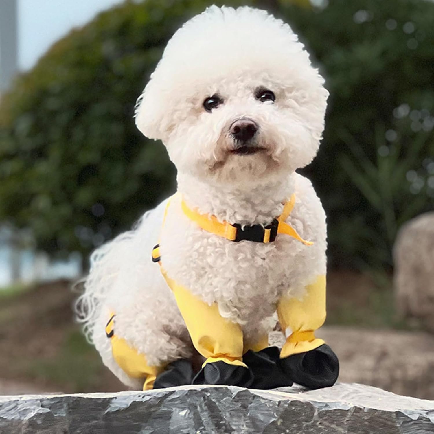 Dog Boots, Anti Slip Pet Shoes for Outdoor Walking Running Hiking, Dog Paw Boot Leggings with Durable Polyester Material Paw Protector (S)