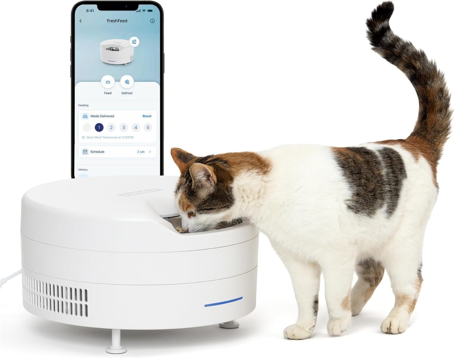 PetSafe FreshFeed Refrigerated Automatic Wet Food Feeder, 6 Meals, White