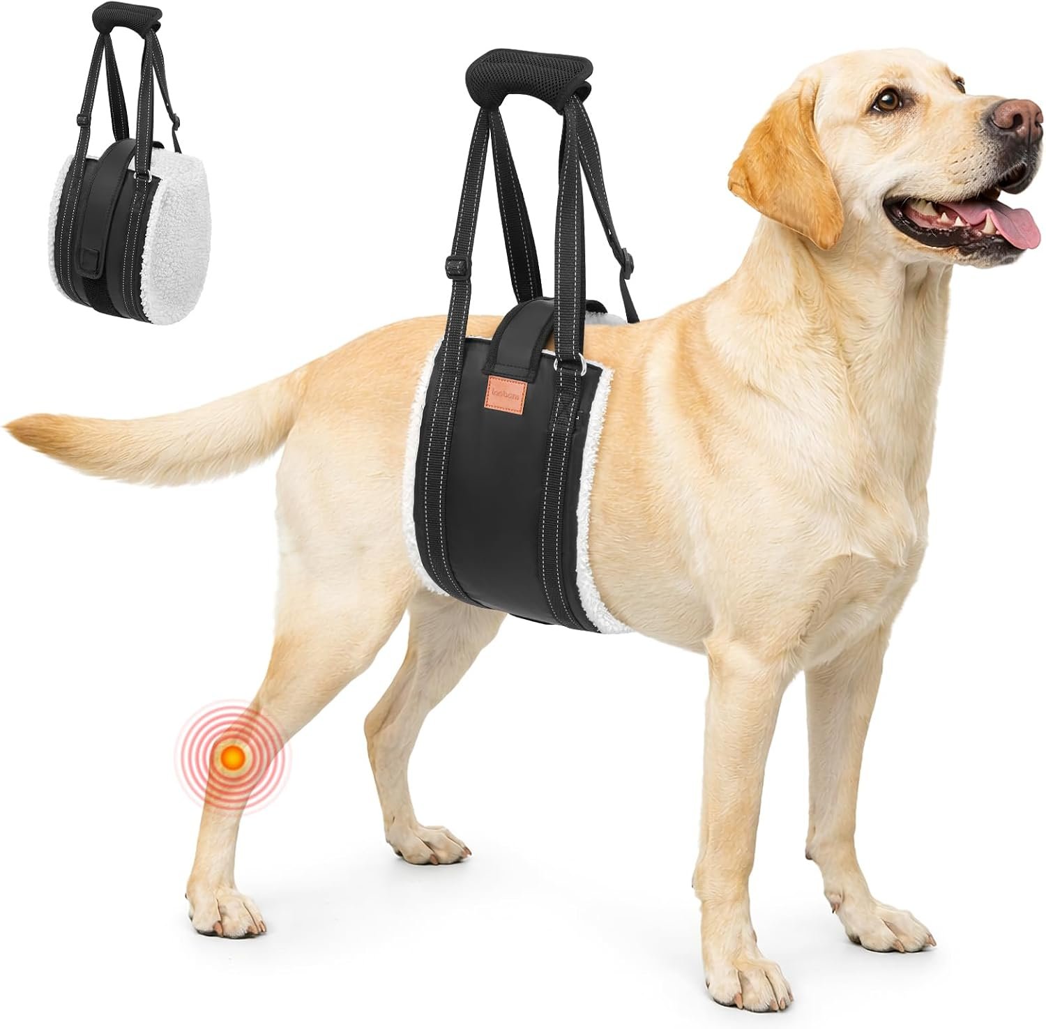 LOOBANI Dog Lift Harness Rear Leg Support for Large Dogs Secure Belly Wrap