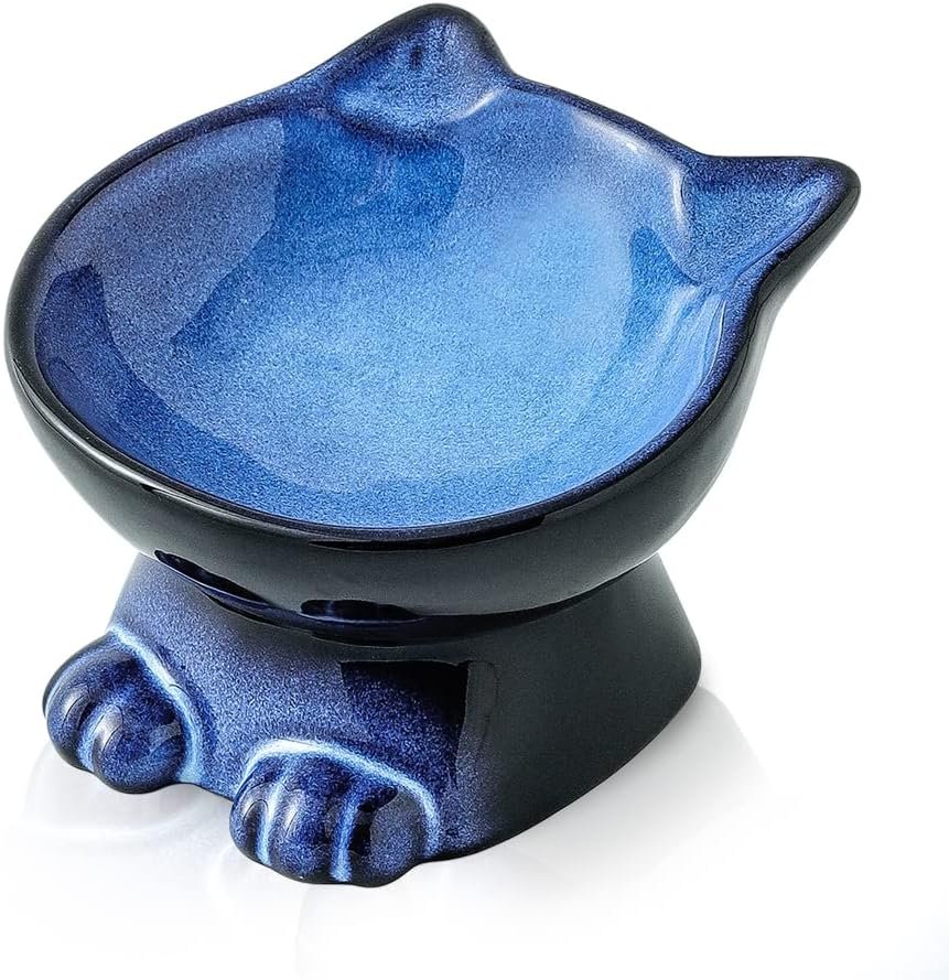 Nihow Elevated Cat Bowls,5 Inch Ceramic Raised Cat Food Bowl for Feeding