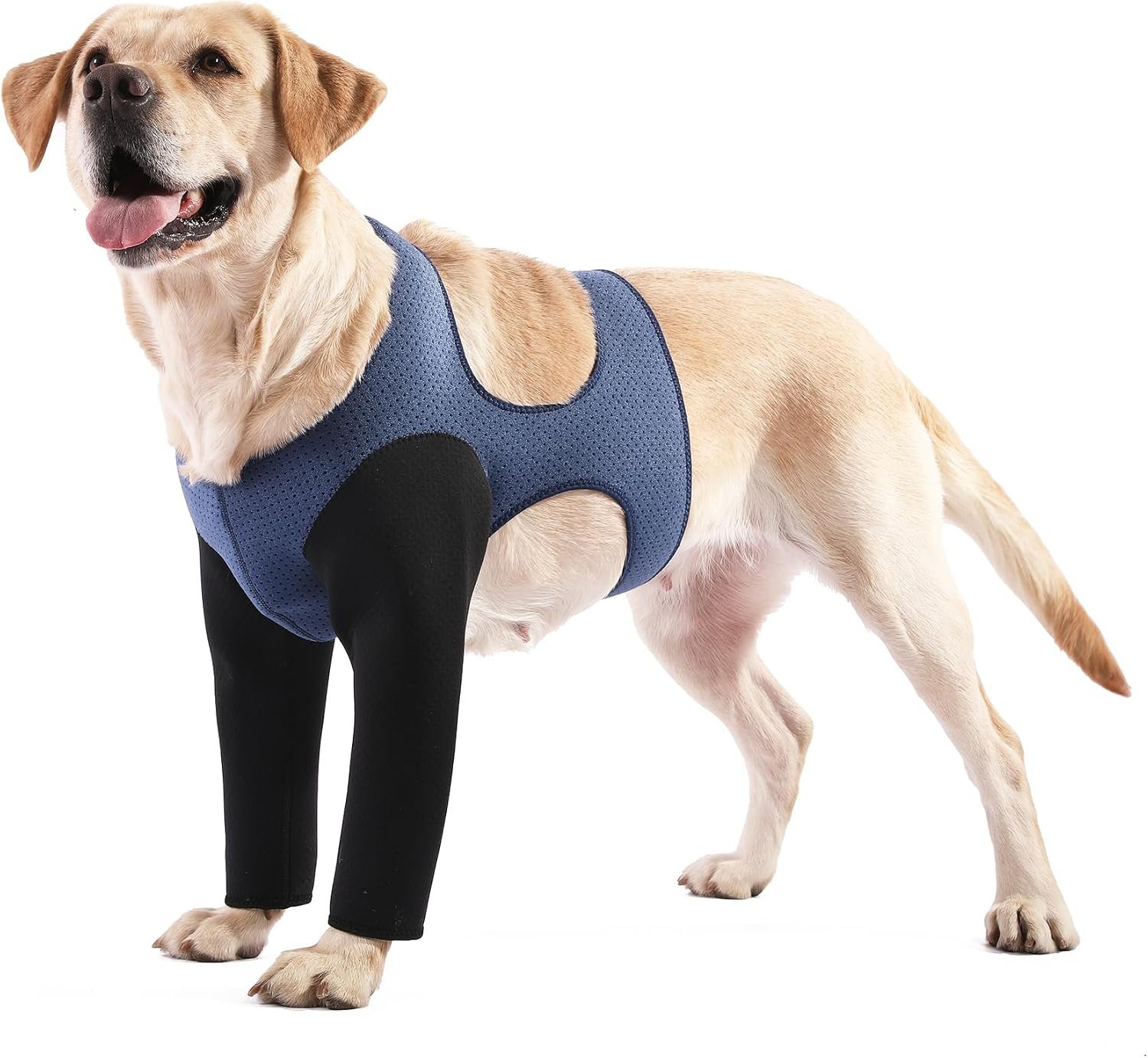 Dog Sleeves for Wounds Both Front Legs，Cone Collar Alternative, Abrasion Resistant Dog Recovery Sleeve, Washable 2.5mm Thick and Bouncy, Breathable Pet Wounds Prevent Licking (XLarge)