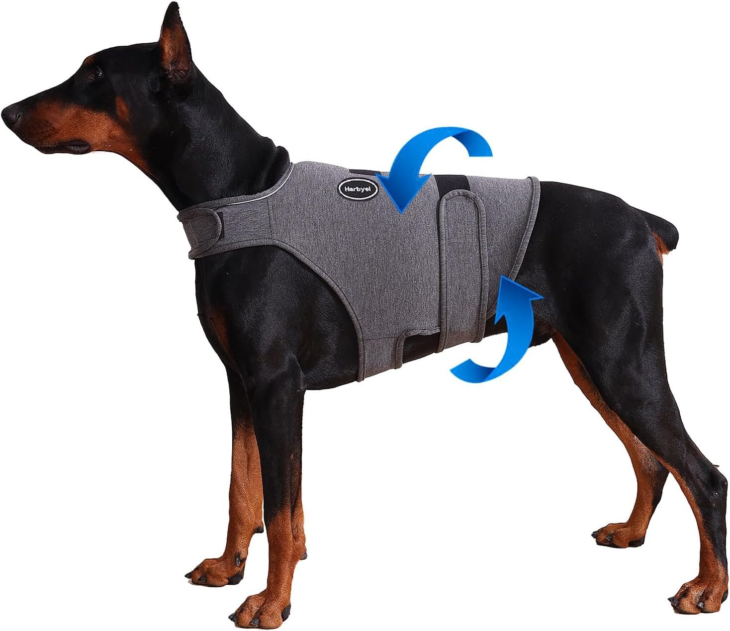 Dog Anxiety Vest – Skin-Friendly Calming Shirt for Thunder, Fireworks, Vet Visits & Separation Anxiety – No Medicine or Training Needed – Suitable for Small, Medium, and Large Dogs