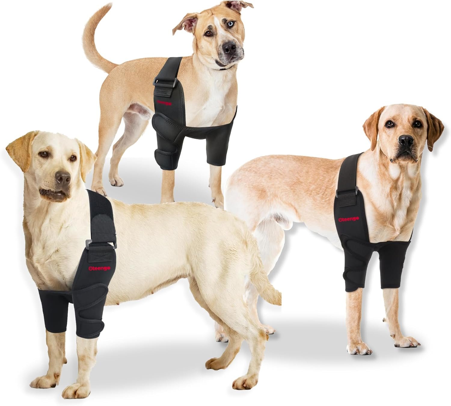 Dog Elbow Protector & Padded Dog Elbow Pads — Hygroma Elbow Pads for Dogs & Dog Elbow Brace for Pressure Sores, Senior & Large Dogs – L