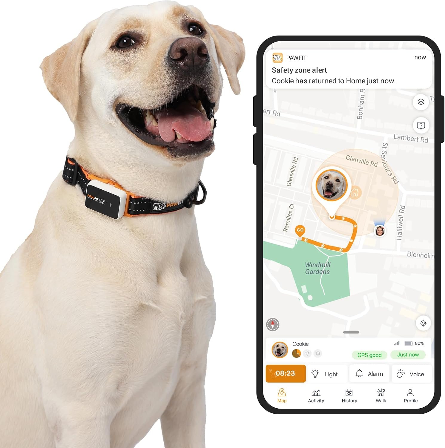 Pawfit 3 GPS Pet Tracker GPS Dog Tracker 4G Live Tracking, Smart Alerts, Fully Waterproof Activity Monitor for Pets, Unlimited Range, Remote Voice Recall, Fits All Collars, 30 Day Free Subscription