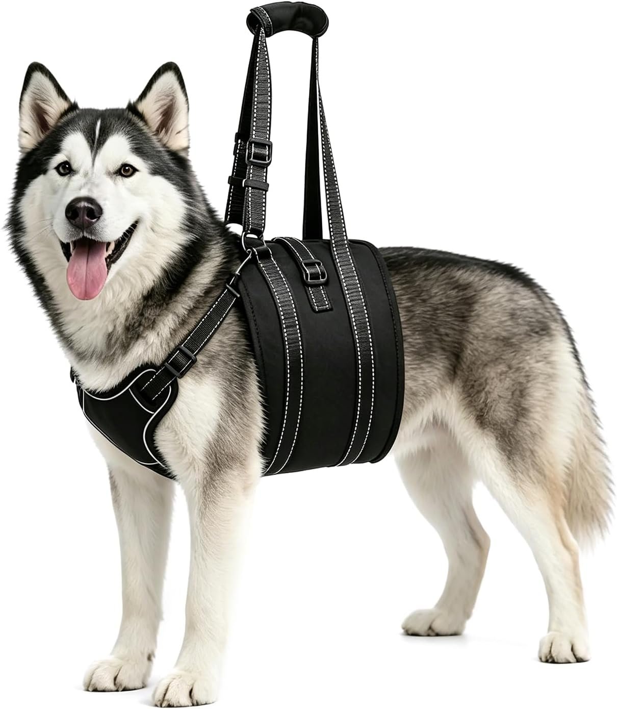 NOYAL Dog Lift Harness Sling, Adjustable Support for Senior Dogs