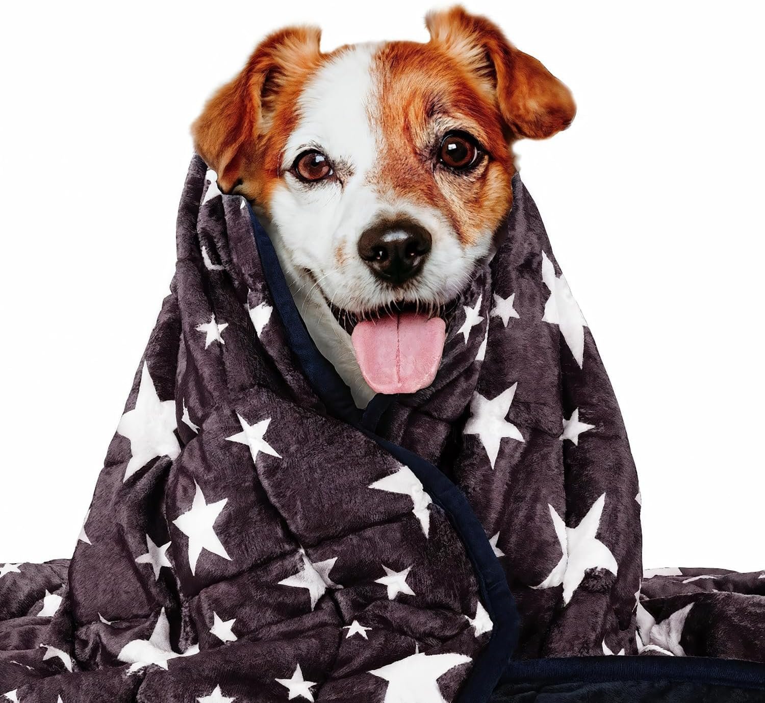 LaSyL Weighted Blanket for Pets | Thunder Blanket for Dogs Anxiety | Premium Soft Minky | Relaxation & Calming & Anti Anxiety | Used in Car, Bed, Couch | Blue Grey Star, Washable Small (24″x32″)