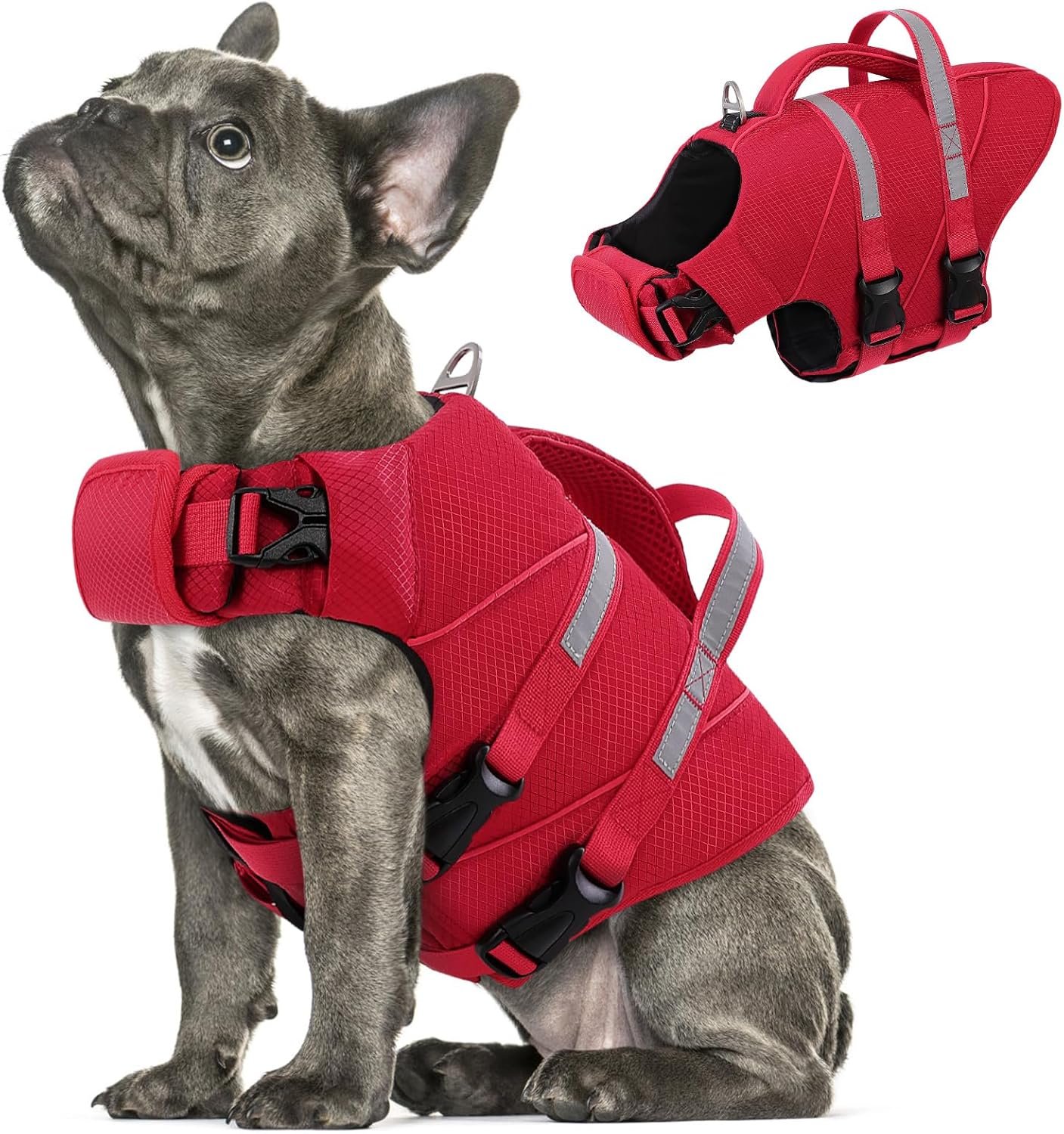 Queenmore High Visible Large Dog Life Jackets for Swimming Boating & Beach