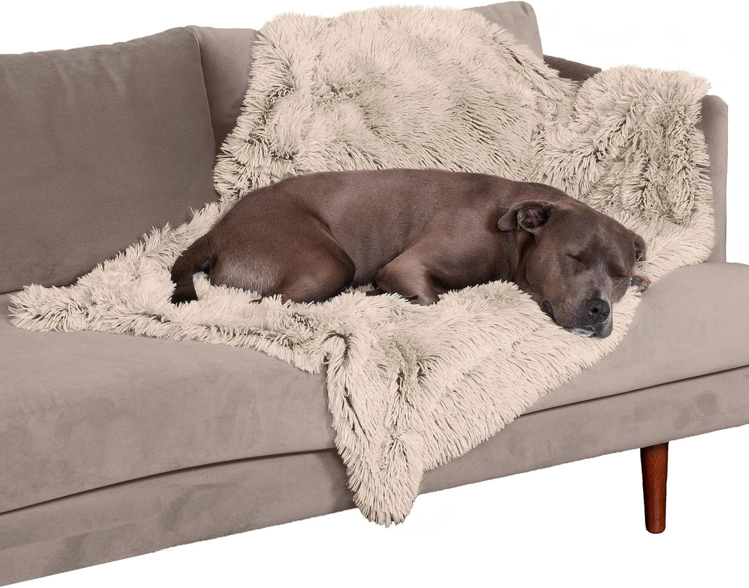 Furhaven Waterproof Throw Blanket for Dogs & Indoor Cats, Washable – Shaggy Plush Calming Long Faux Fur & Velvet Dog Blanket – Taupe, Large