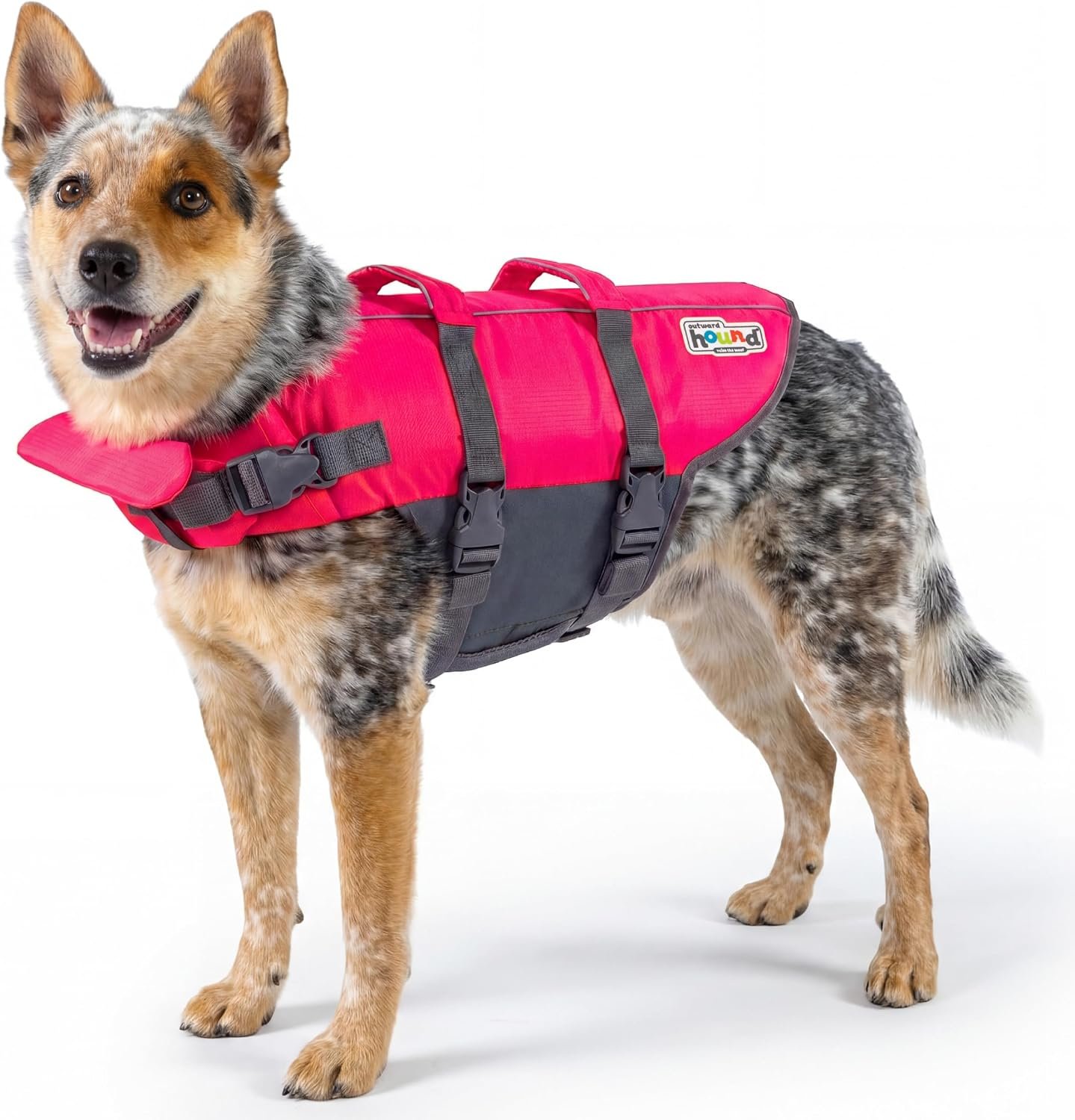 Outward Hound Granby Splash Dog Life Jacket, Life Vest, Pink, Medium