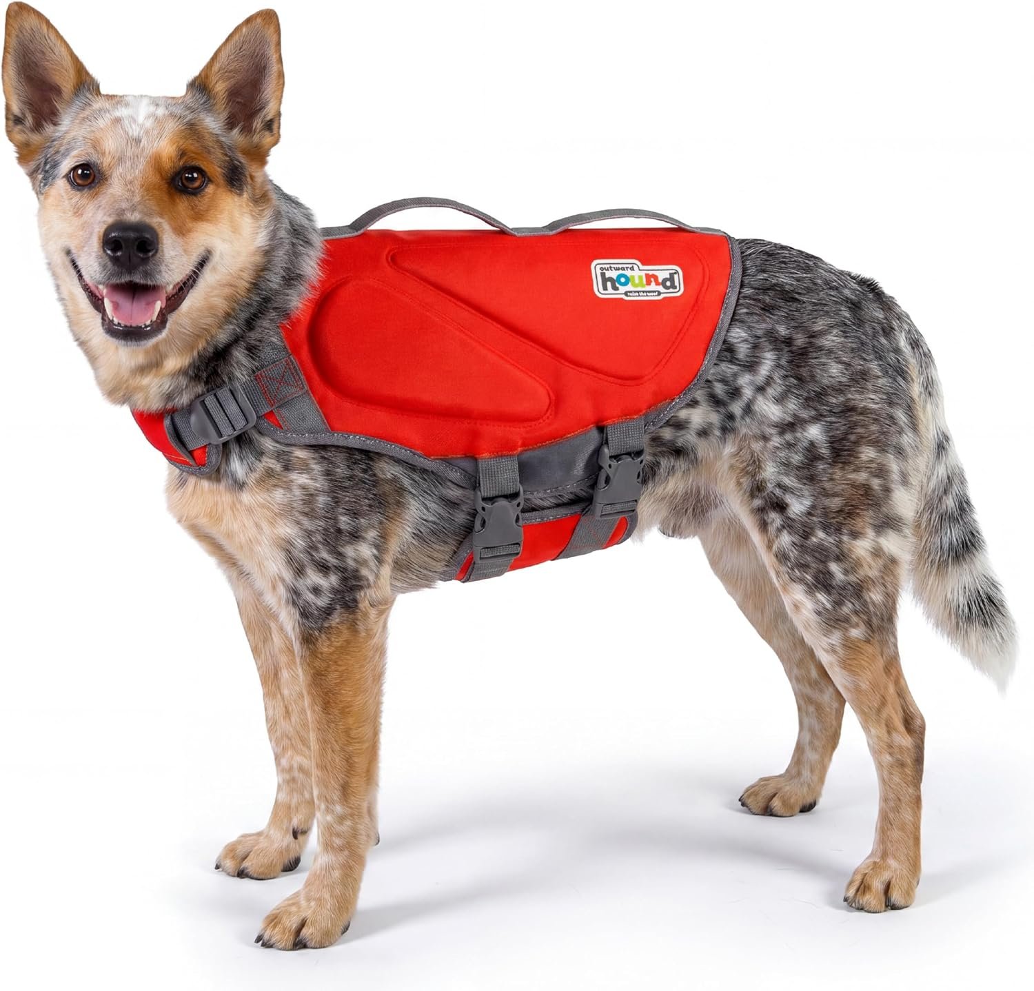 Outward Hound Dawson Swim Dog Life Jacket, Life Vest, Red, Medium